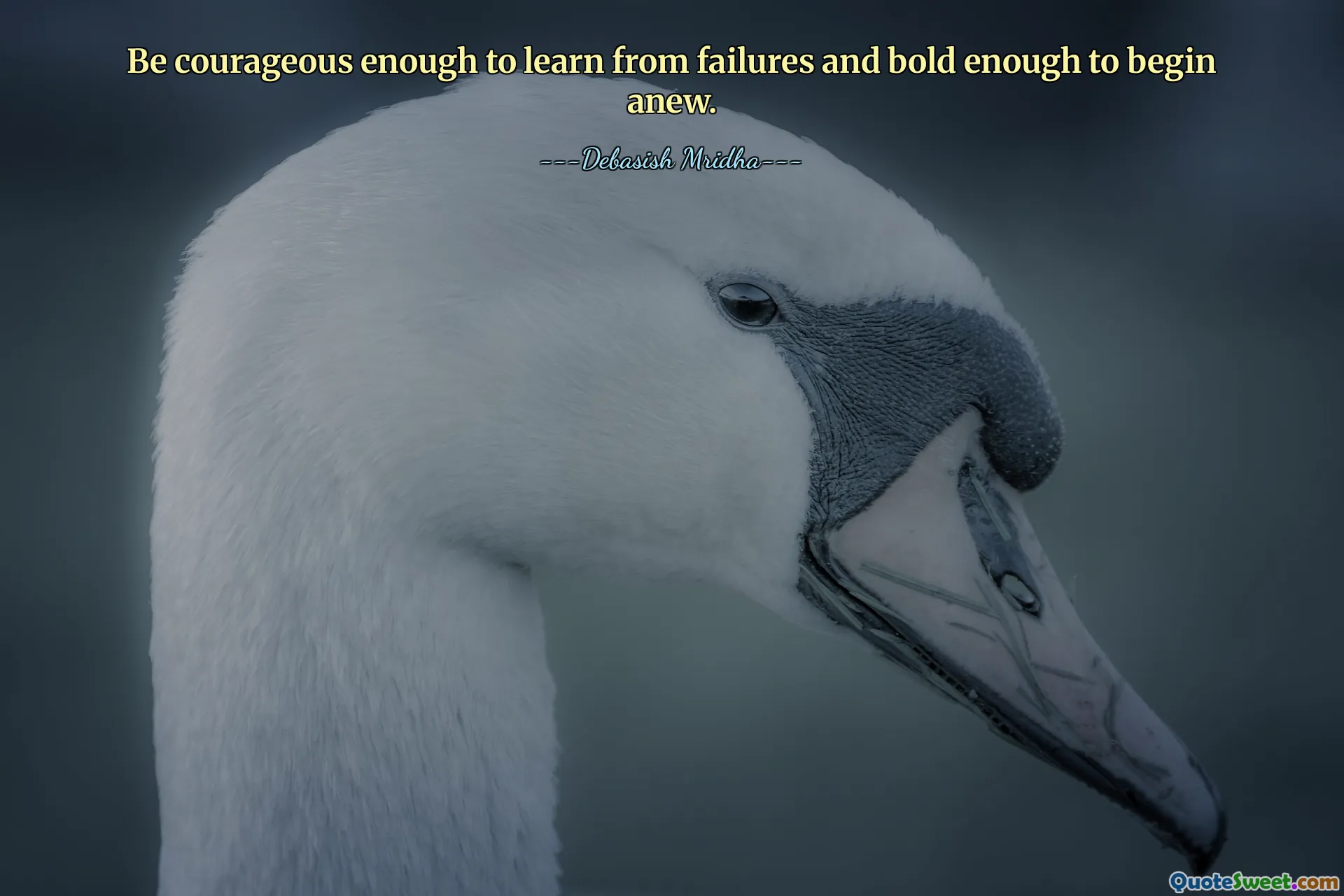 Be courageous enough to learn from failures and bold enough to begin anew.