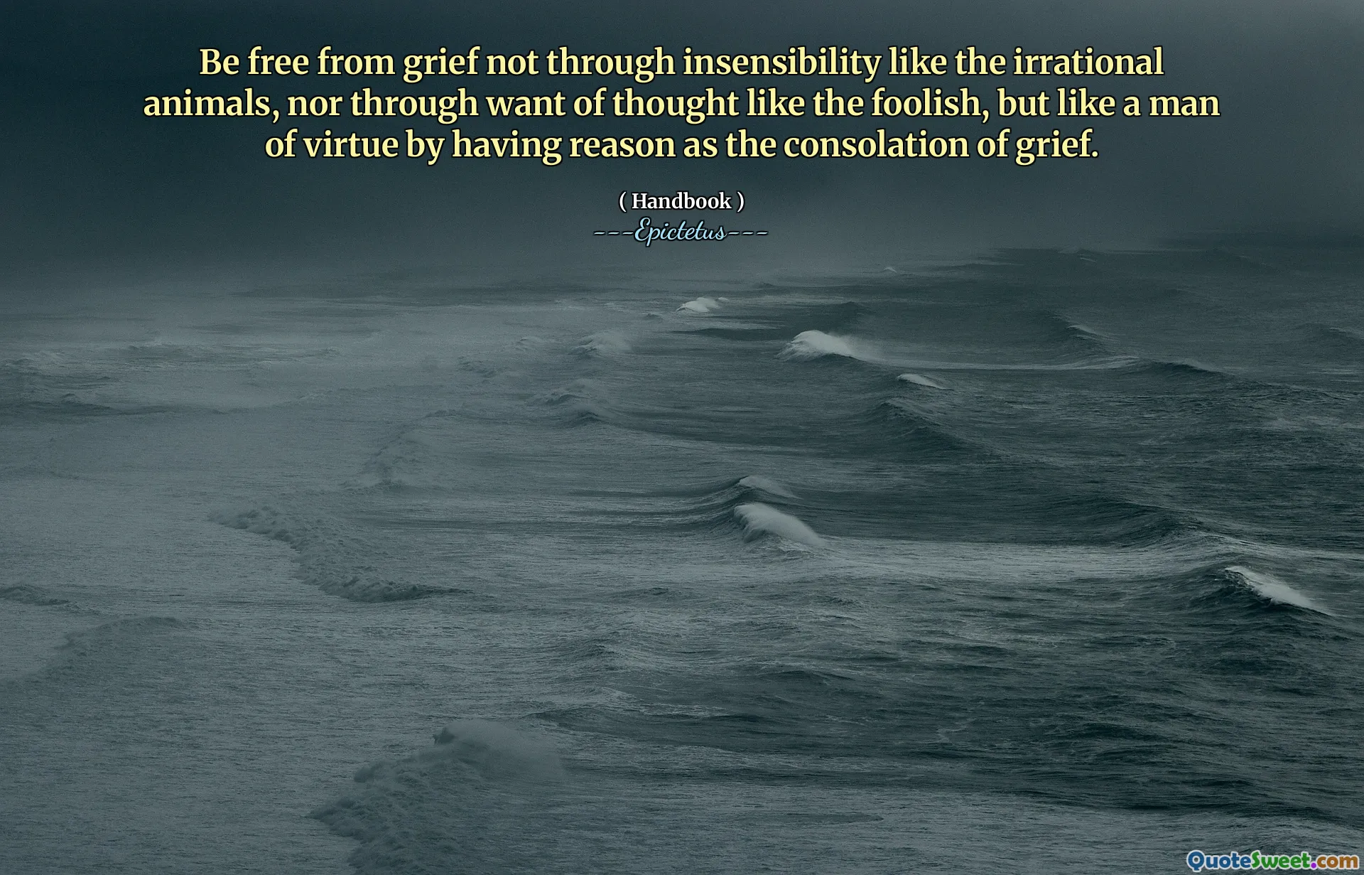 Be free from grief not through insensibility like the irrational animals, nor through want of thought like the foolish, but like a man of virtue by having reason as the consolation of grief.