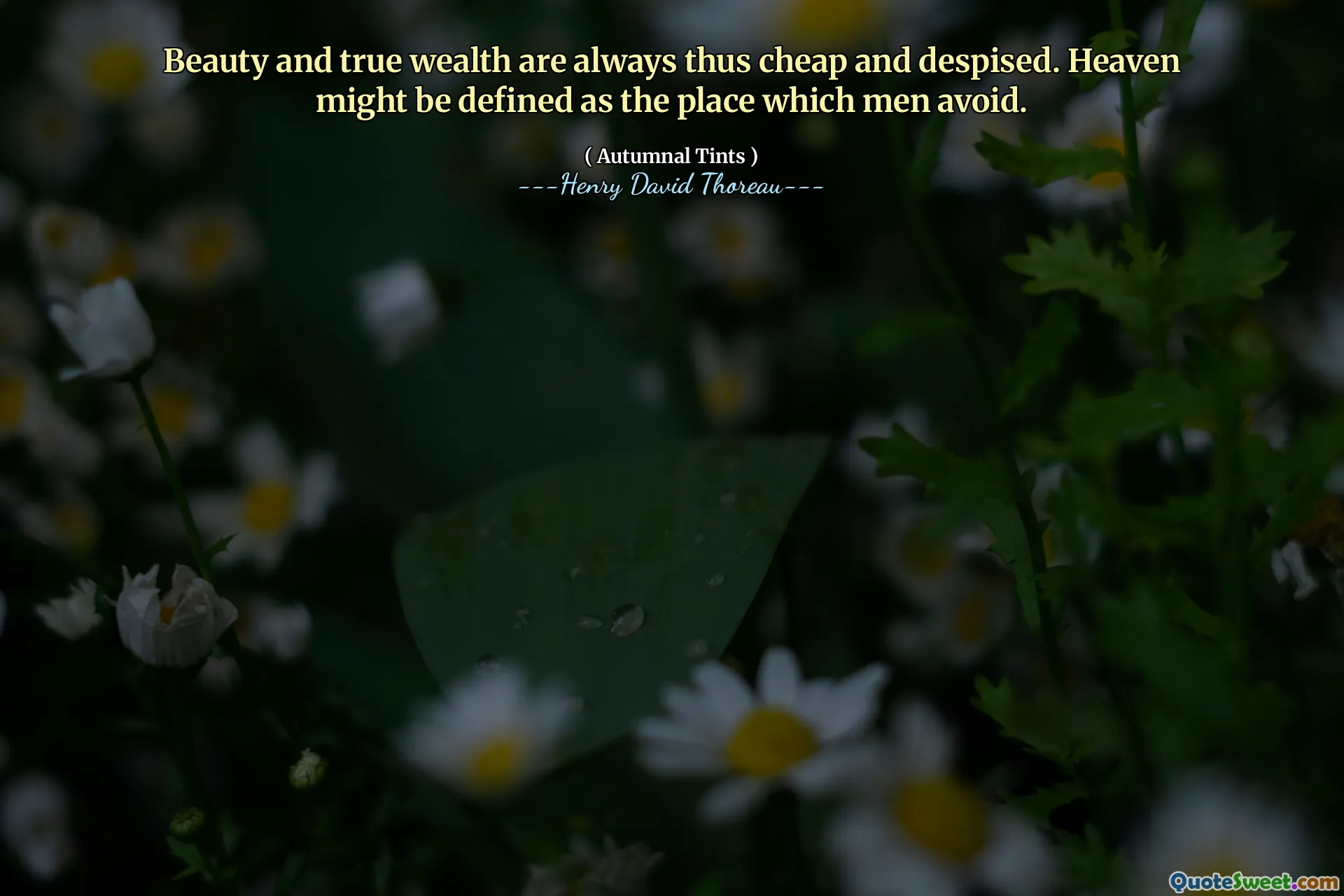 Beauty and true wealth are always thus cheap and despised. Heaven might be defined as the place which men avoid.