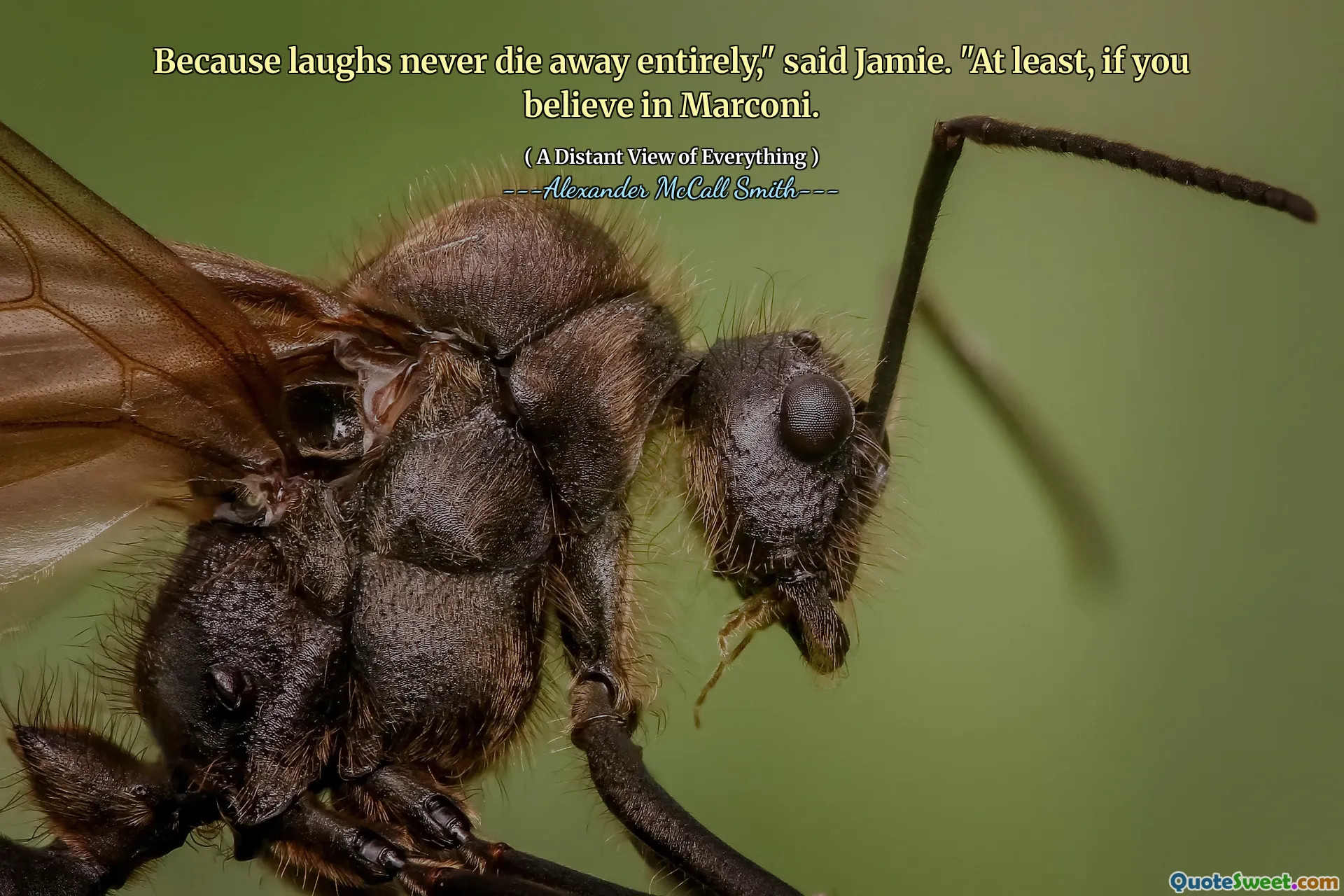 Eftersom skratt aldrig dör bort helt, "sade Jamie." Åtminstone om du tror på Marconi.
