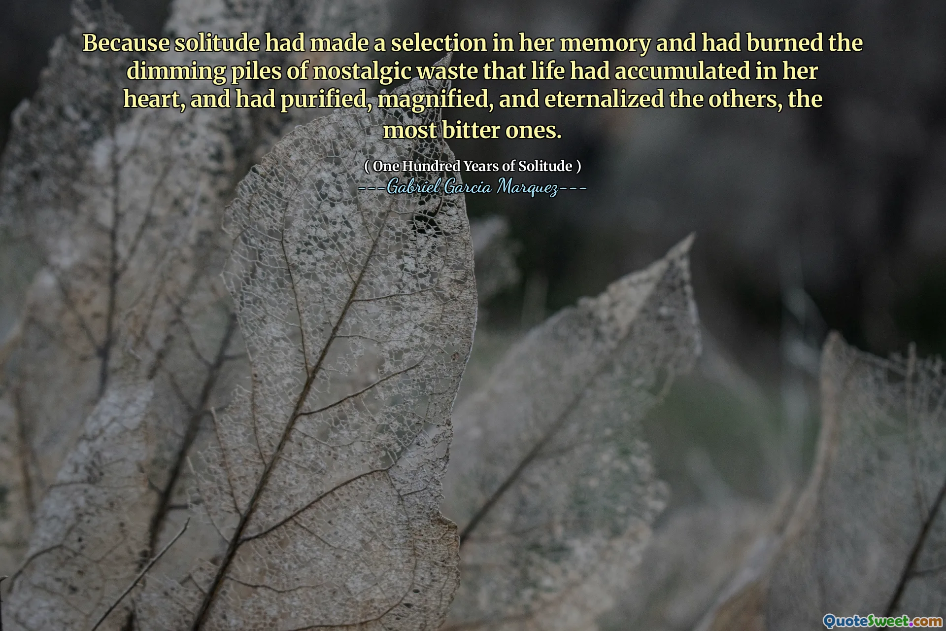 Omdat eenzaamheid een selectie in haar geheugen had gemaakt en de dimmen van nostalgisch afval had verbrand dat het leven in haar hart had verzameld en de anderen, de meest bittere had gezuiverd, had gezuiverd en geënariseerd.