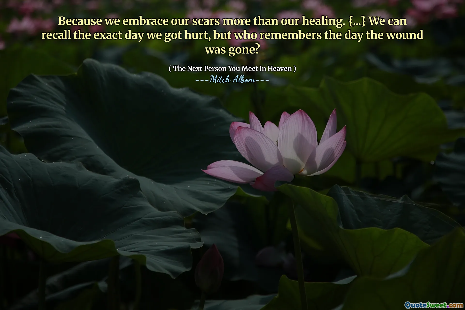 Because we embrace our scars more than our healing. {...} We can recall the exact day we got hurt, but who remembers the day the wound was gone?