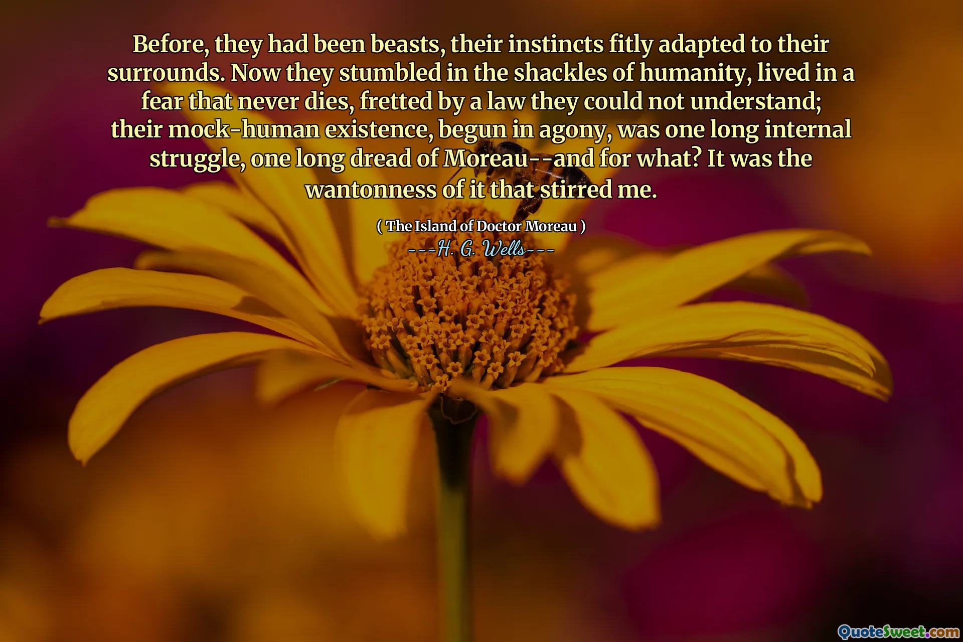Before, they had been beasts, their instincts fitly adapted to their surrounds. Now they stumbled in the shackles of humanity, lived in a fear that never dies, fretted by a law they could not understand; their mock-human existence, begun in agony, was one long internal struggle, one long dread of Moreau--and for what? It was the wantonness of it that stirred me.