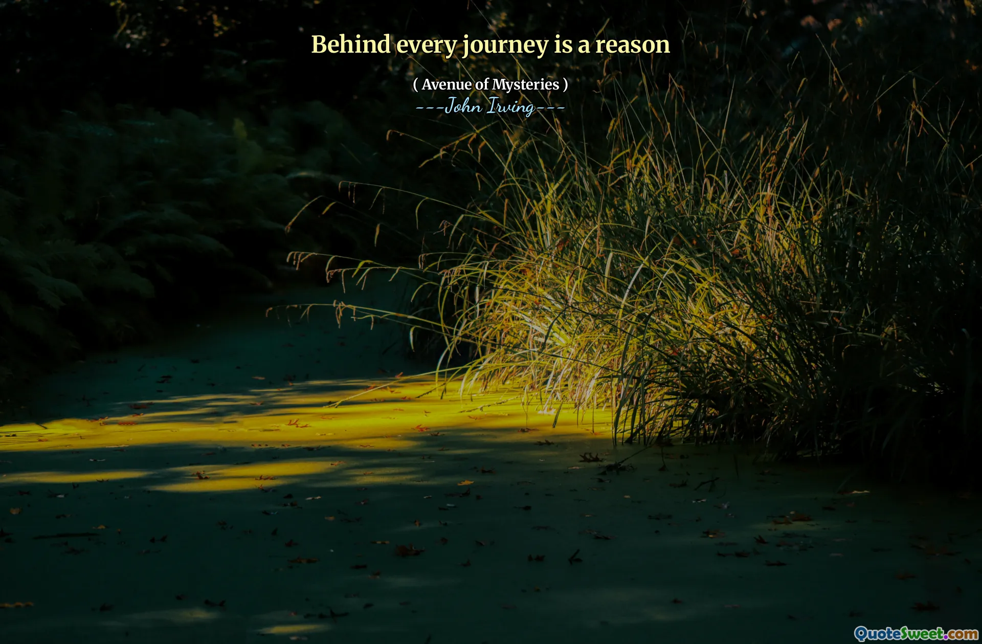 Behind every journey is a reason
