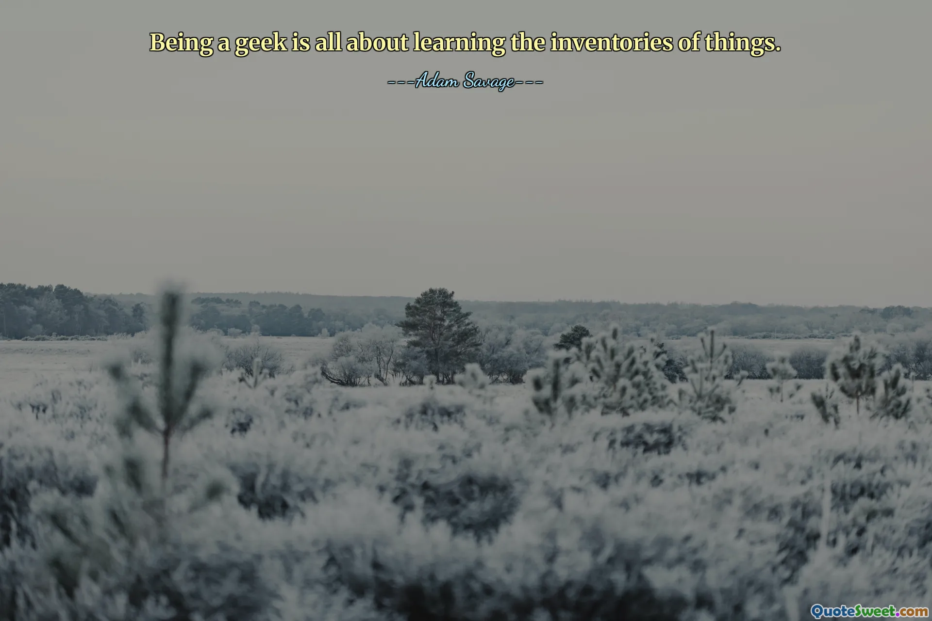 Being a geek is all about learning the inventories of things.