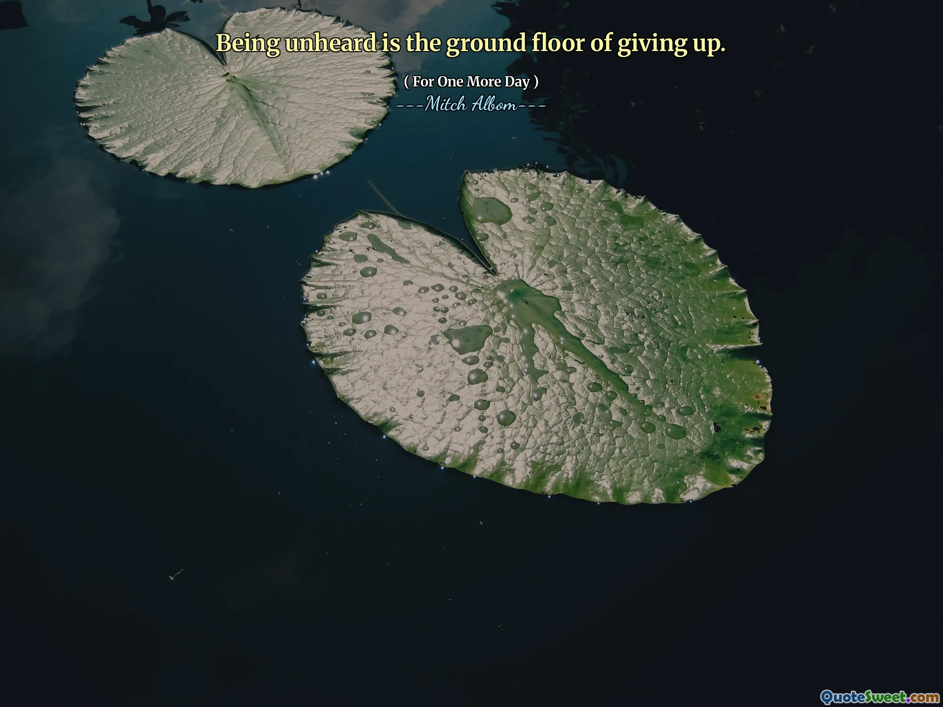 들어 본 적이없는 것은 포기하는 1 층입니다.