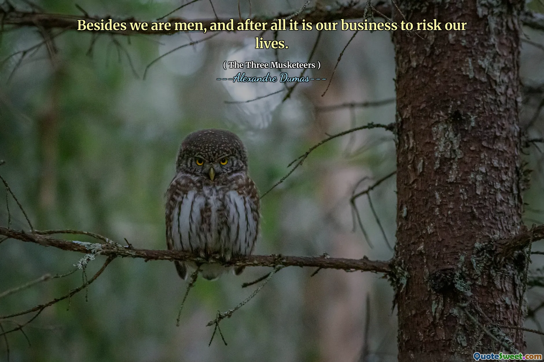 Besides we are men, and after all it is our business to risk our lives.