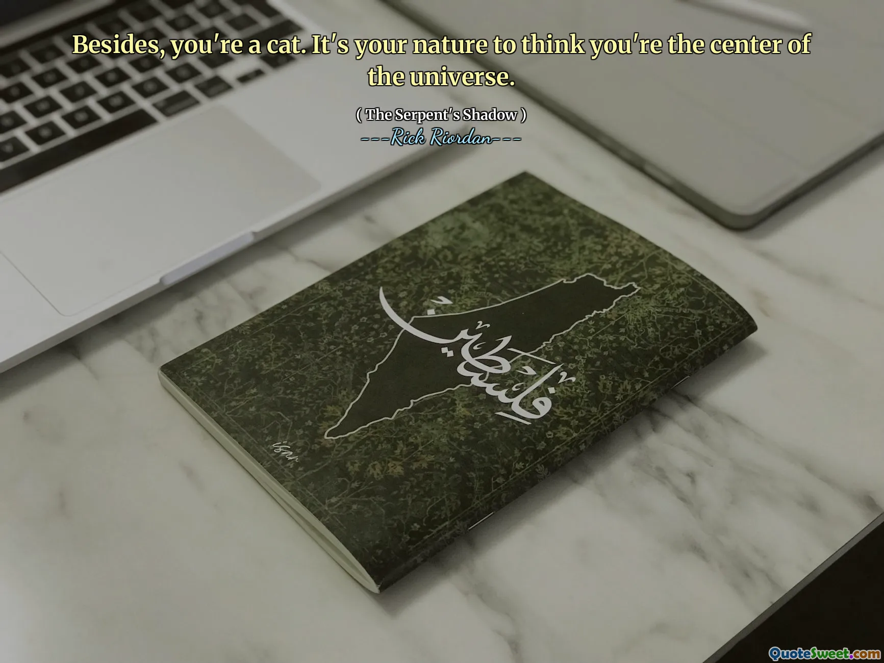 Besides, you're a cat. It's your nature to think you're the center of the universe.