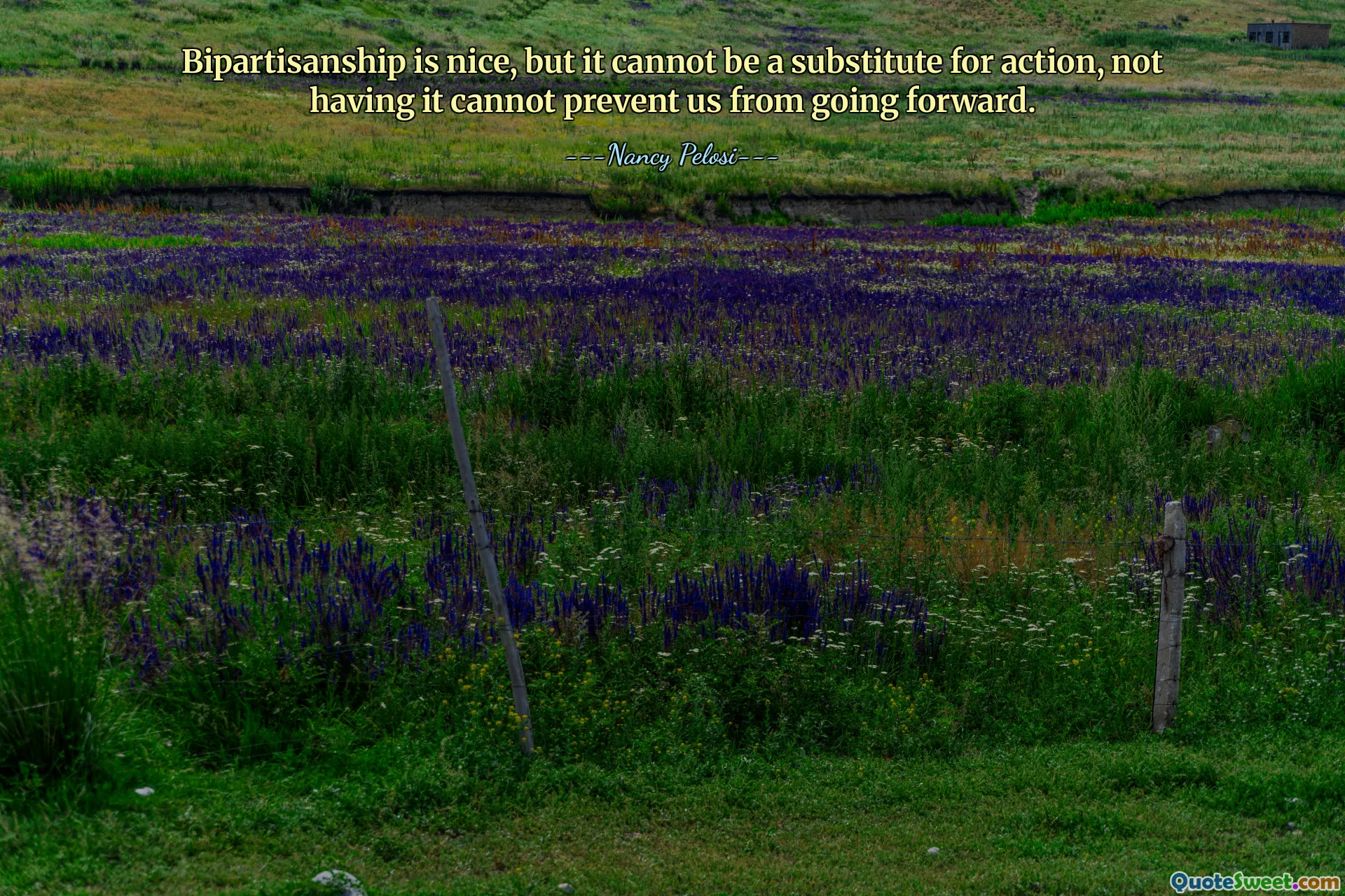 Bipartisanship is nice, but it cannot be a substitute for action, not having it cannot prevent us from going forward.