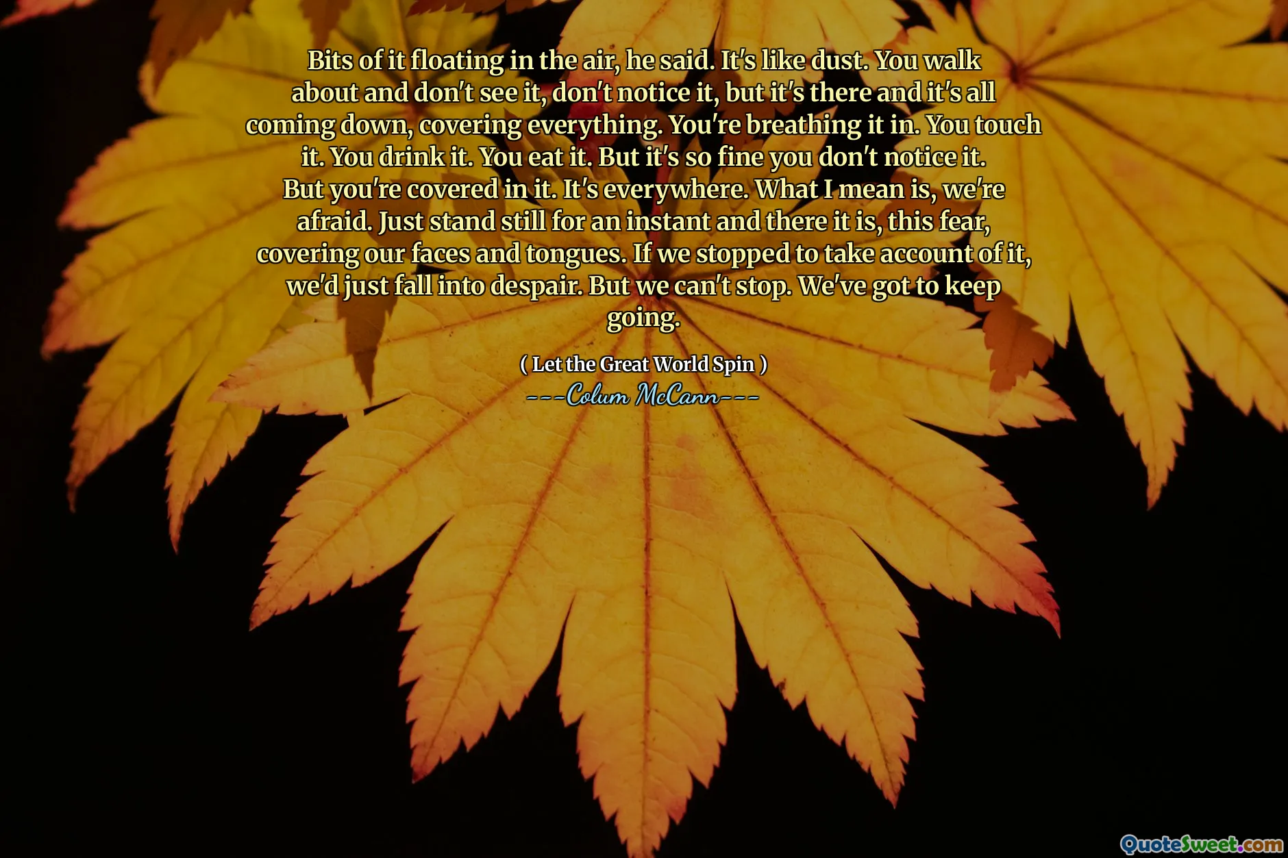 Bits of it floating in the air, he said. It's like dust. You walk about and don't see it, don't notice it, but it's there and it's all coming down, covering everything. You're breathing it in. You touch it. You drink it. You eat it. But it's so fine you don't notice it. But you're covered in it. It's everywhere. What I mean is, we're afraid. Just stand still for an instant and there it is, this fear, covering our faces and tongues. If we stopped to take account of it, we'd just fall into despair. But we can't stop. We've got to keep going.