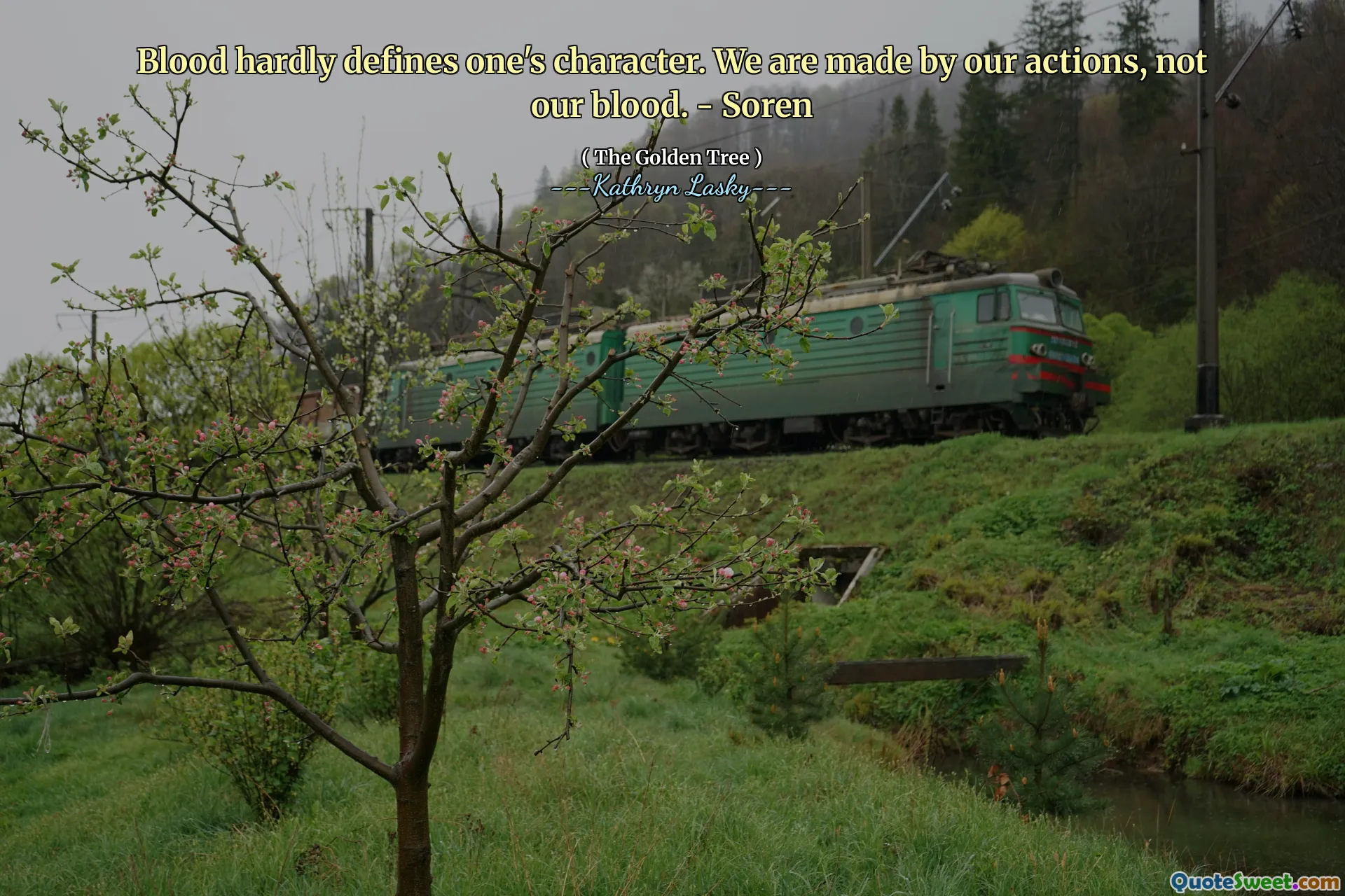 Il sangue difficilmente definisce il proprio carattere. Siamo fatti dalle nostre azioni, non dalle nostre azioni. - Soren