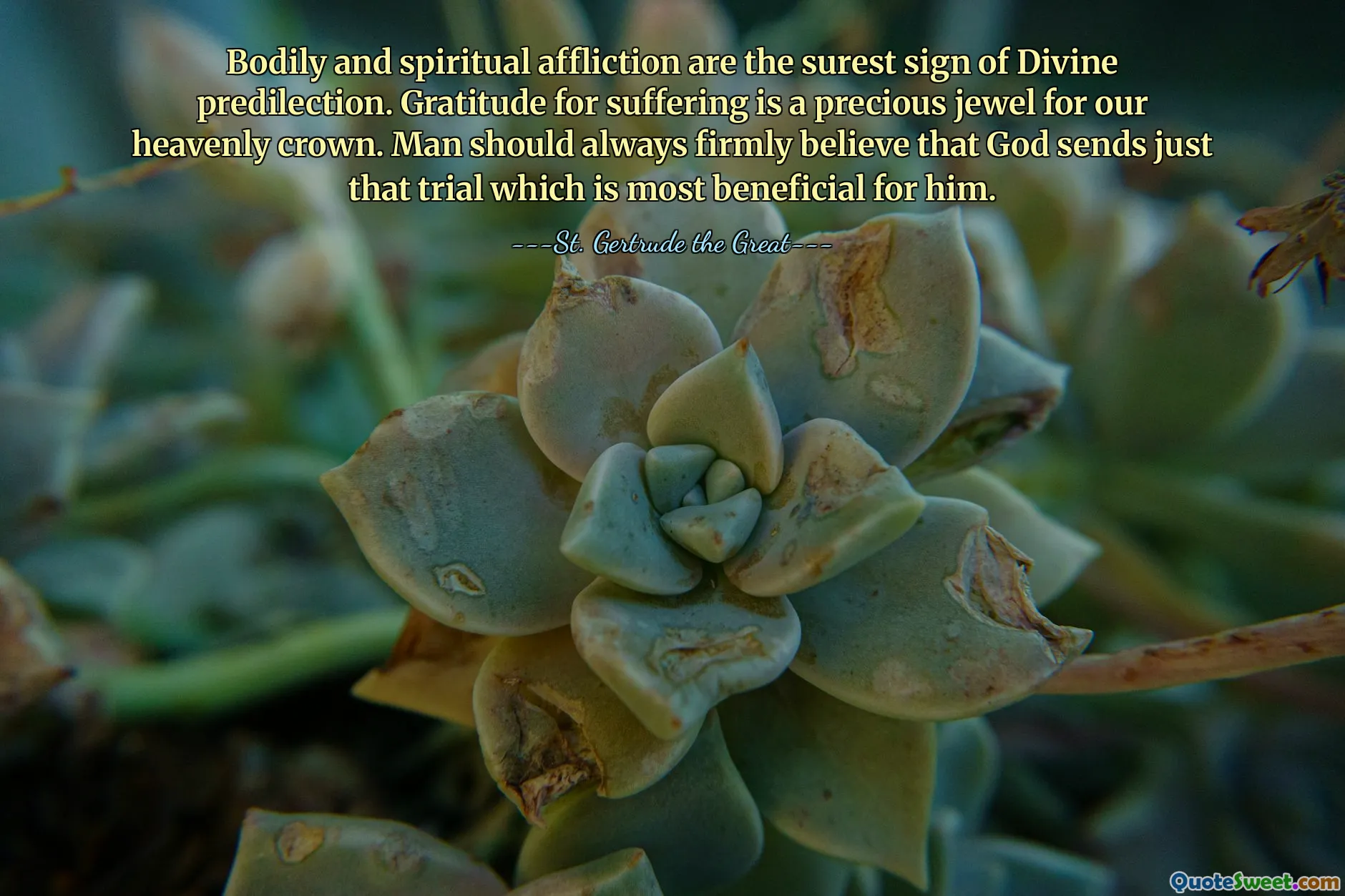 Bodily and spiritual affliction are the surest sign of Divine predilection. Gratitude for suffering is a precious jewel for our heavenly crown. Man should always firmly believe that God sends just that trial which is most beneficial for him.
