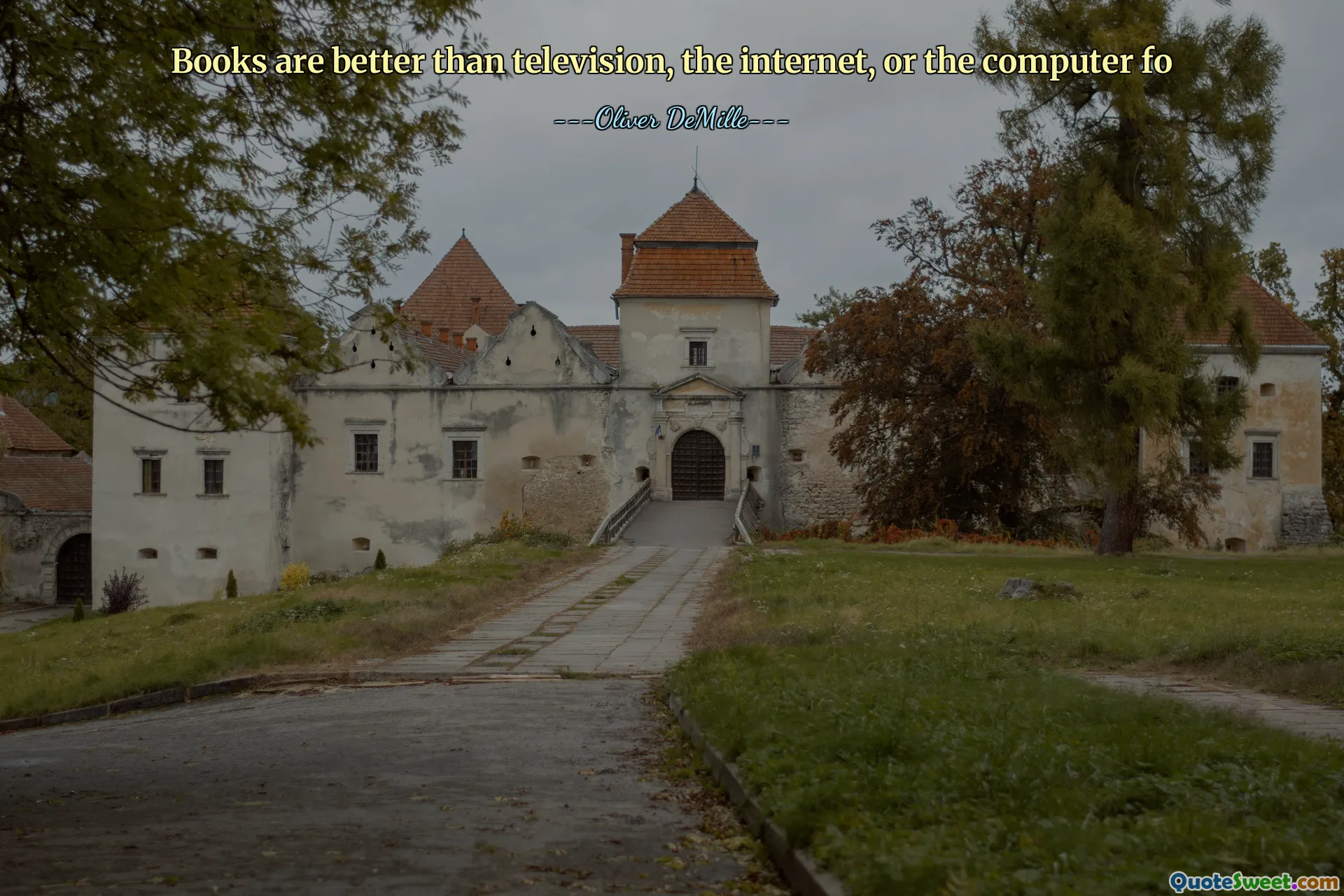 Books are better than television, the internet, or the computer fo