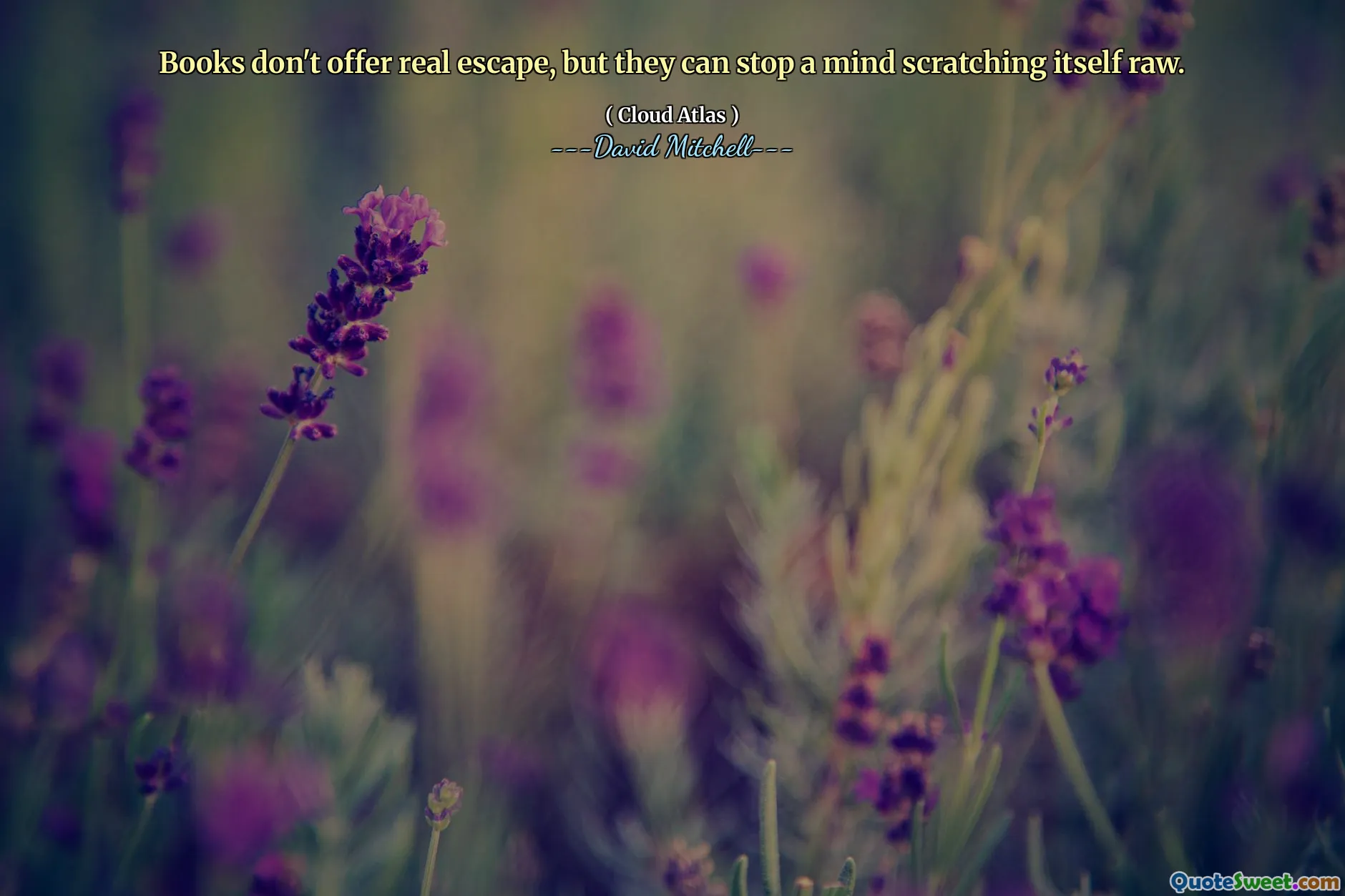 书籍并不能提供真正的逃避，但它们可以阻止心灵受到伤害。