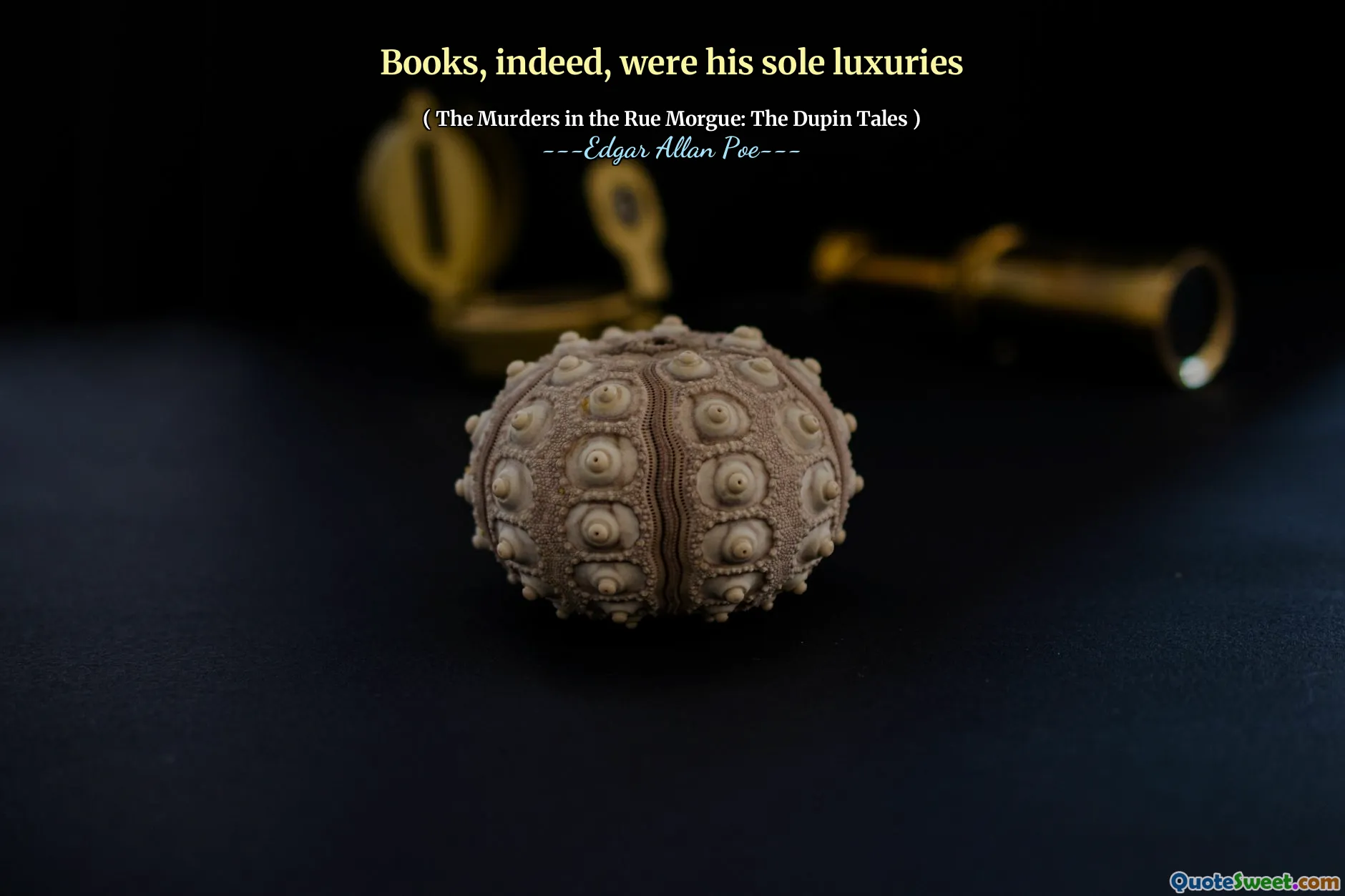 Books, indeed, were his sole luxuries