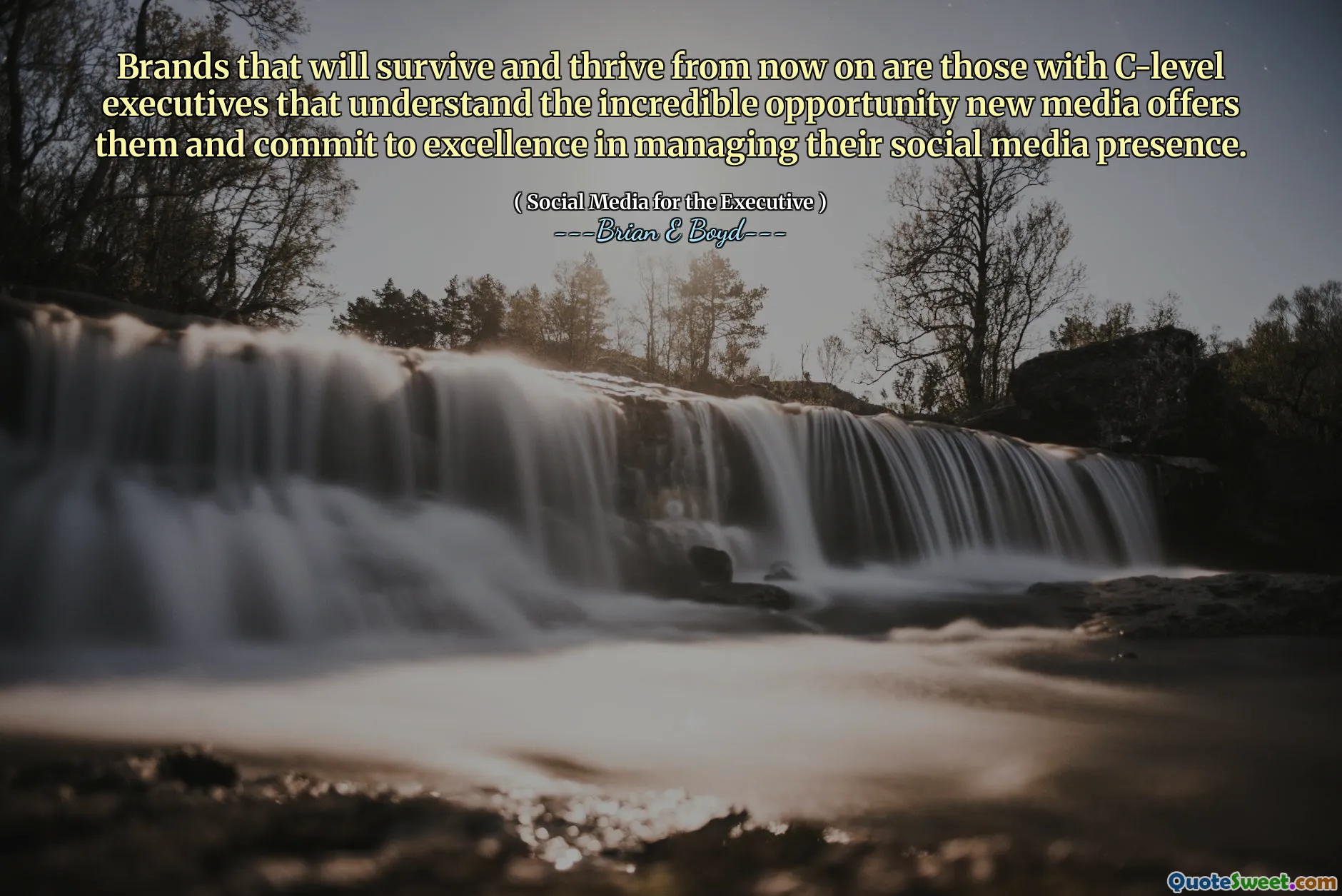 Brands that will survive and thrive from now on are those with C-level executives that understand the incredible opportunity new media offers them and commit to excellence in managing their social media presence.