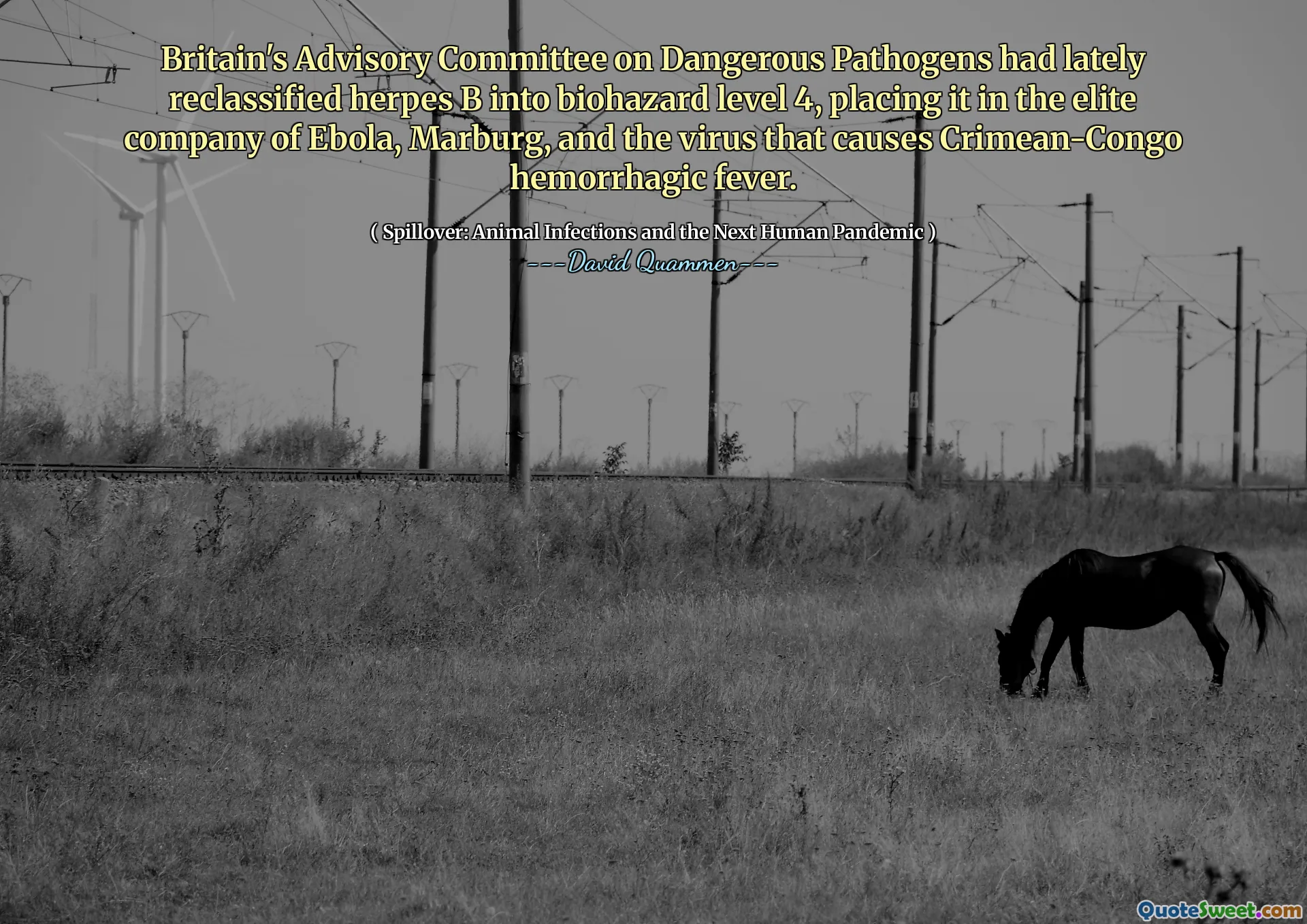 Britain's Advisory Committee on Dangerous Pathogens had lately reclassified herpes B into biohazard level 4, placing it in the elite company of Ebola, Marburg, and the virus that causes Crimean-Congo hemorrhagic fever.