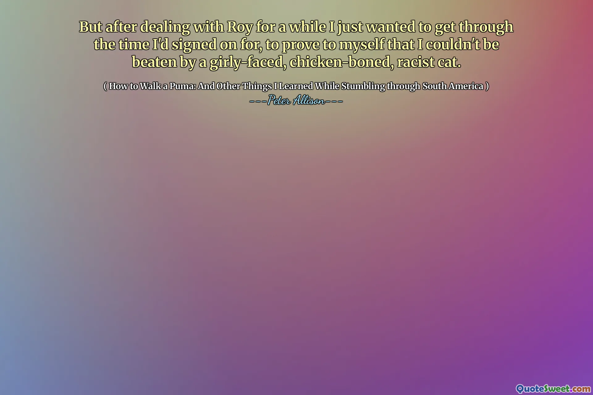 But after dealing with Roy for a while I just wanted to get through the time I'd signed on for, to prove to myself that I couldn't be beaten by a girly-faced, chicken-boned, racist cat.