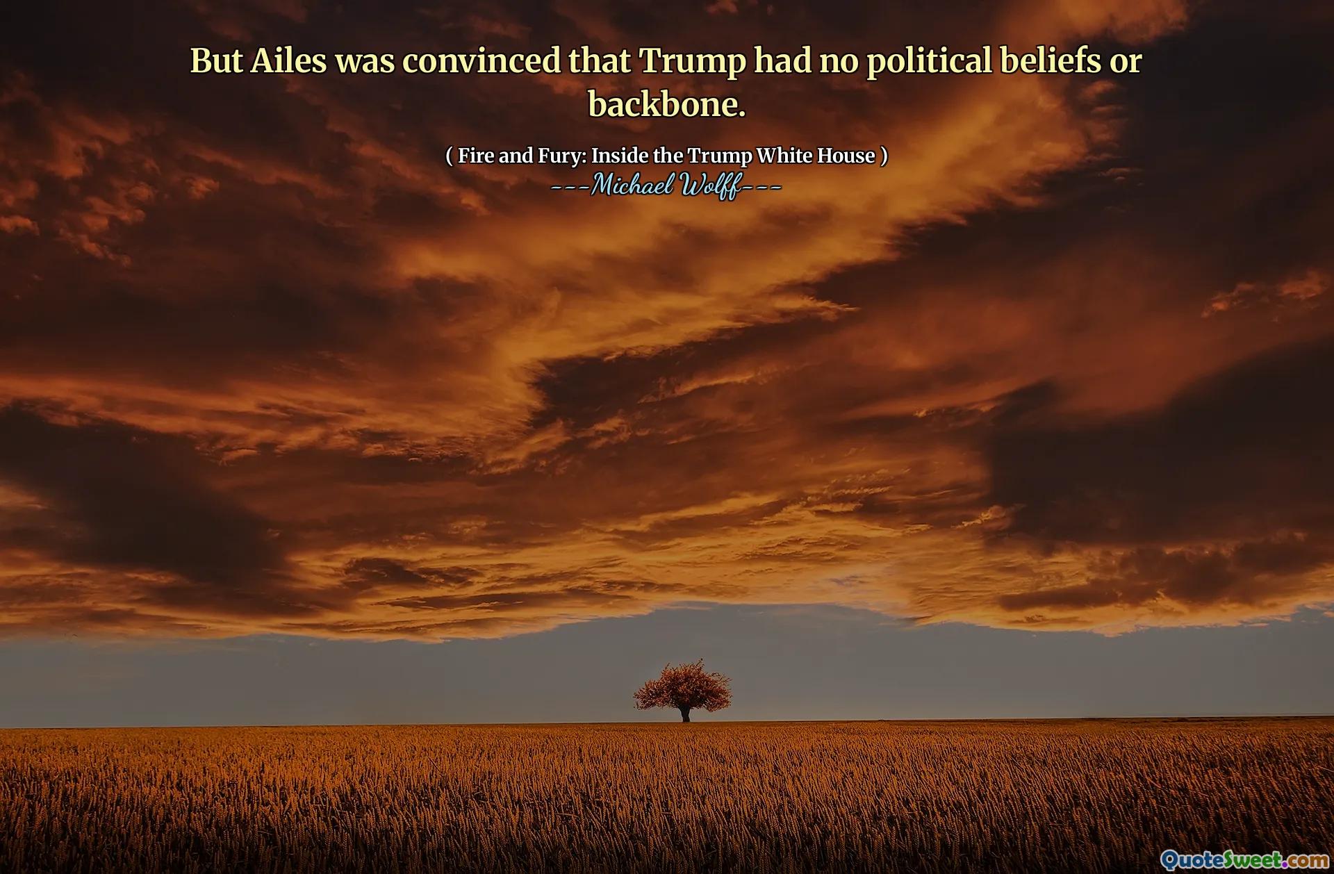 But Ailes was convinced that Trump had no political beliefs or backbone.