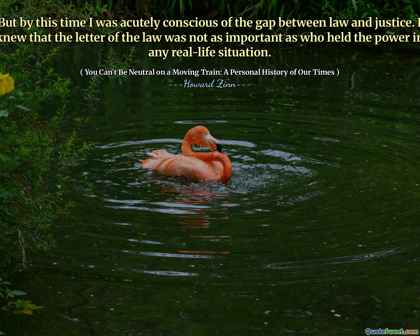 But by this time I was acutely conscious of the gap between law and justice. I knew that the letter of the law was not as important as who held the power in any real-life situation.