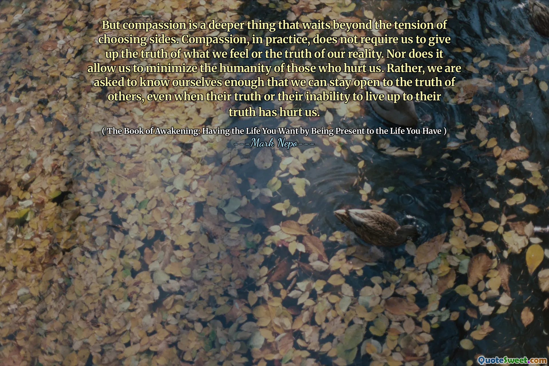 მაგრამ თანაგრძნობა უფრო ღრმა რამ არის, რომელიც მხარეების არჩევის დაძაბულობას ელოდება. თანაგრძნობა, პრაქტიკაში, არ მოითხოვს ჩვენს სიმართლეს, თუ რას ვგრძნობთ ან ჩვენი რეალობის ჭეშმარიტება. არც ის საშუალებას გვაძლევს მინიმუმამდე დავიყვანოთ კაცობრიობა მათთვის, ვინც გვეზიანებს. უფრო მეტიც, ჩვენ მოგვმართავენ, რომ საკმარისად ვიცოდეთ საკუთარი თავი, რომ ჩვენ შეგვიძლია ვიყოთ ღია