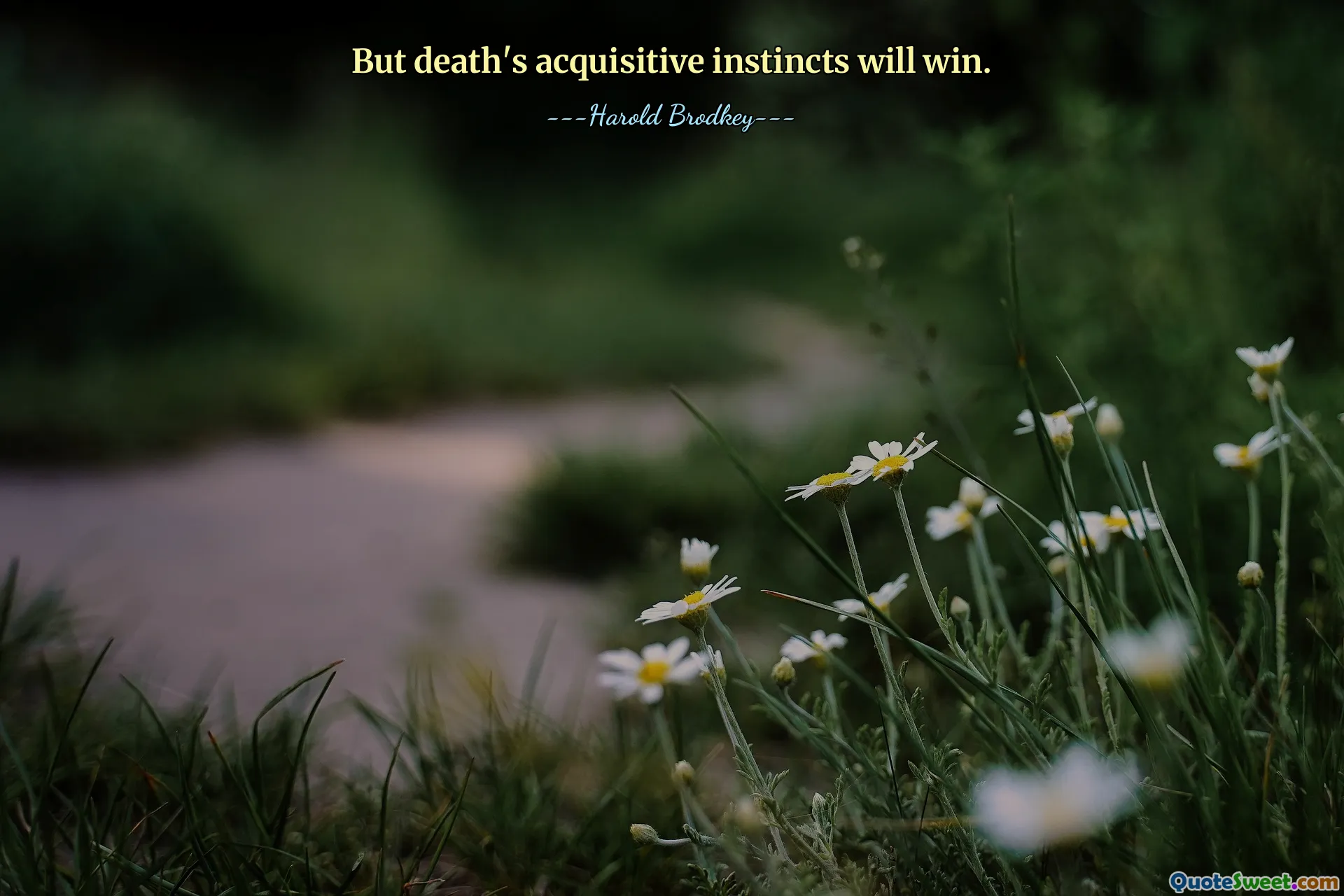 Tapi naluri ingin tahu kematian akan menang.