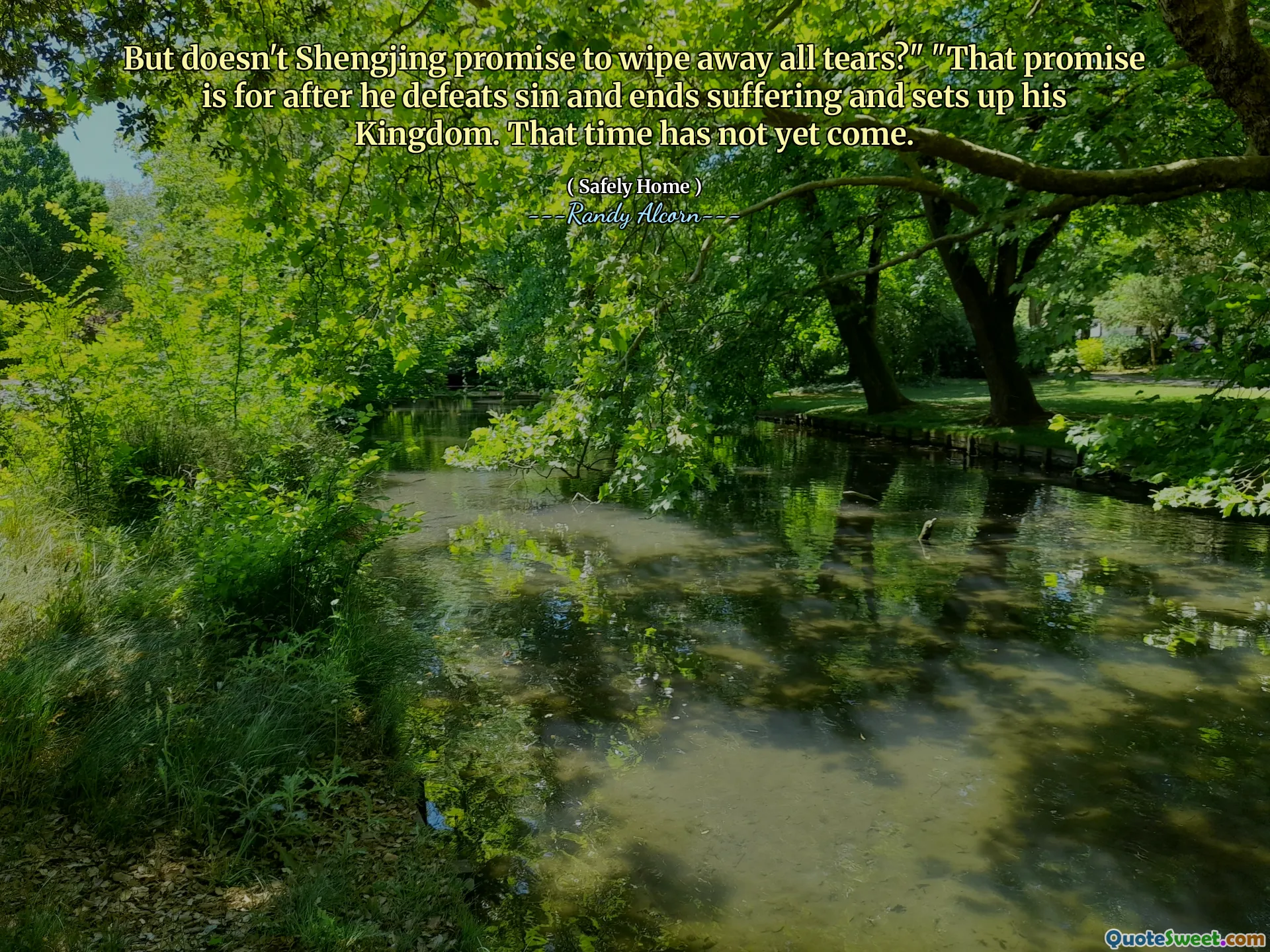 ¿Pero Shengjing no promete eliminar todas las lágrimas? "" Esa promesa es después de que derrota al pecado y termina sufriendo y establece su reino. Ese momento aún no ha llegado.