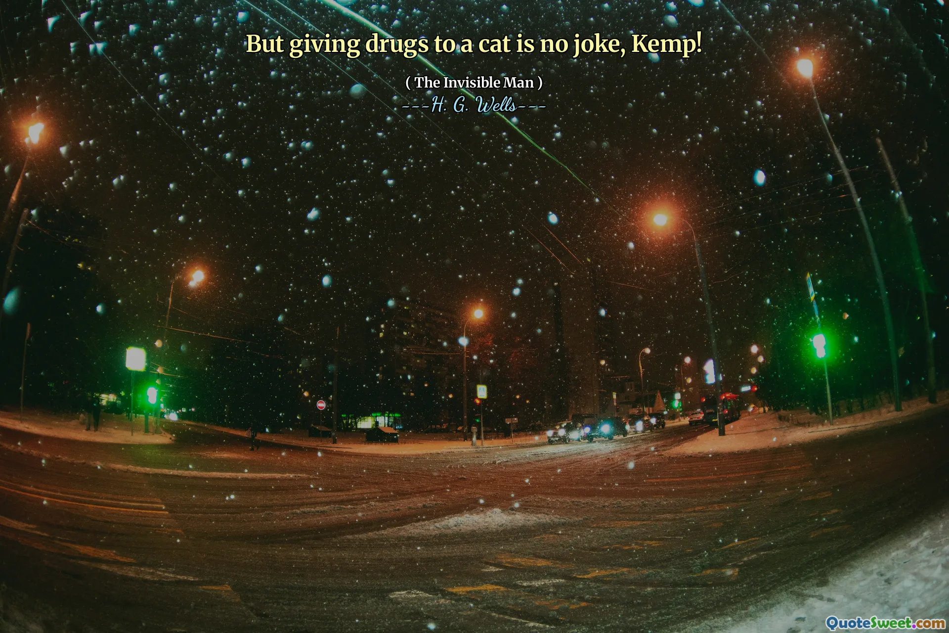 But giving drugs to a cat is no joke, Kemp!