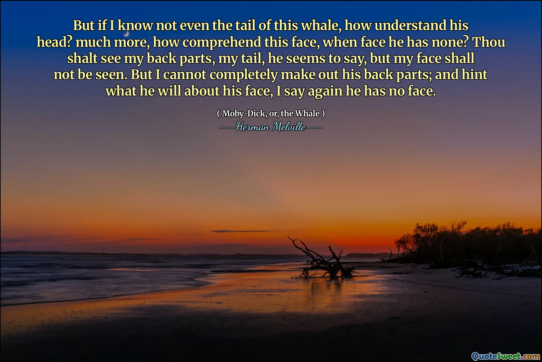 Nhưng nếu tôi biết thậm chí không phải là cái đuôi của con cá voi này, làm thế nào hiểu đầu của anh ta? Hơn nữa, làm thế nào hiểu được khuôn mặt này, khi khuôn mặt anh ta không có? Ngươi sẽ nhìn thấy phần sau của tôi, đuôi của tôi, anh ta dường như nói, nhưng khuôn mặt của tôi sẽ không được nhìn thấy. Nhưng tôi không thể hoàn toàn tạo ra các phần lưng của anh ấy; Và gợi ý những gì anh ấy sẽ làm về khuôn mặt của mình, tôi nói lại anh ấy không có khuôn mặt.