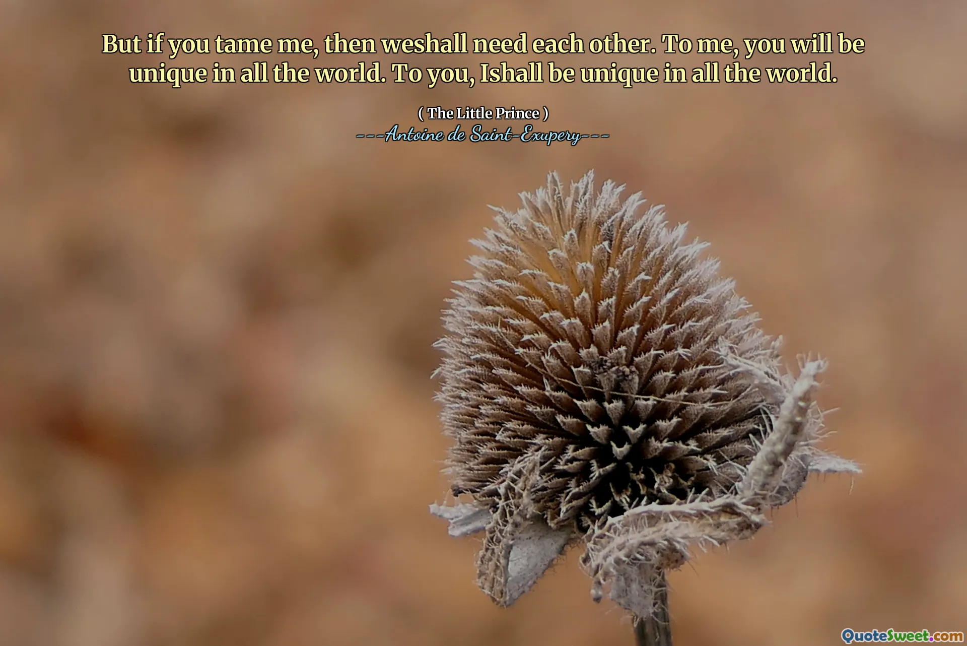 But if you tame me, then weshall need each other. To me, you will be unique in all the world. To you, Ishall be unique in all the world.