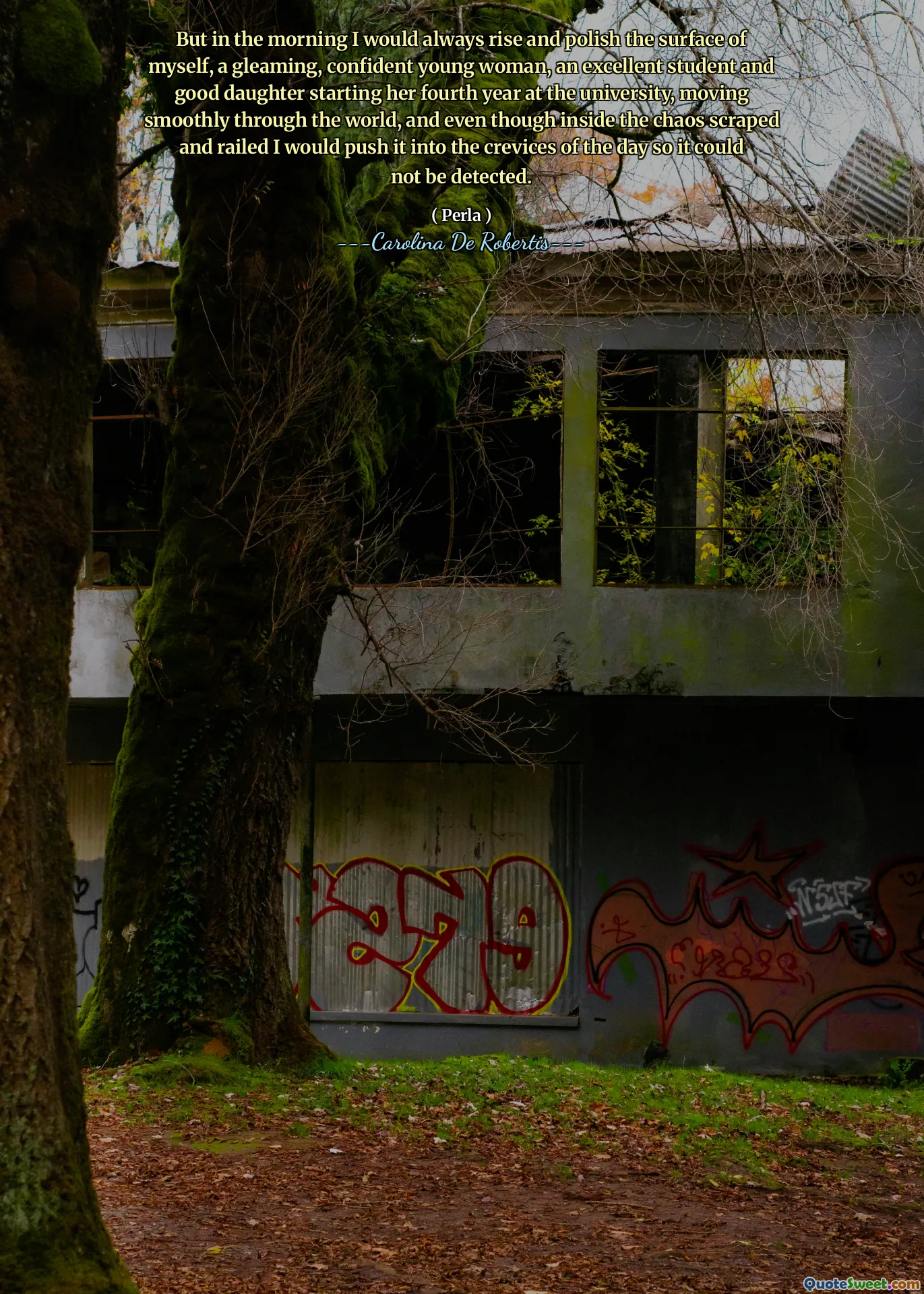 But in the morning I would always rise and polish the surface of myself, a gleaming, confident young woman, an excellent student and good daughter starting her fourth year at the university, moving smoothly through the world, and even though inside the chaos scraped and railed I would push it into the crevices of the day so it could not be detected.