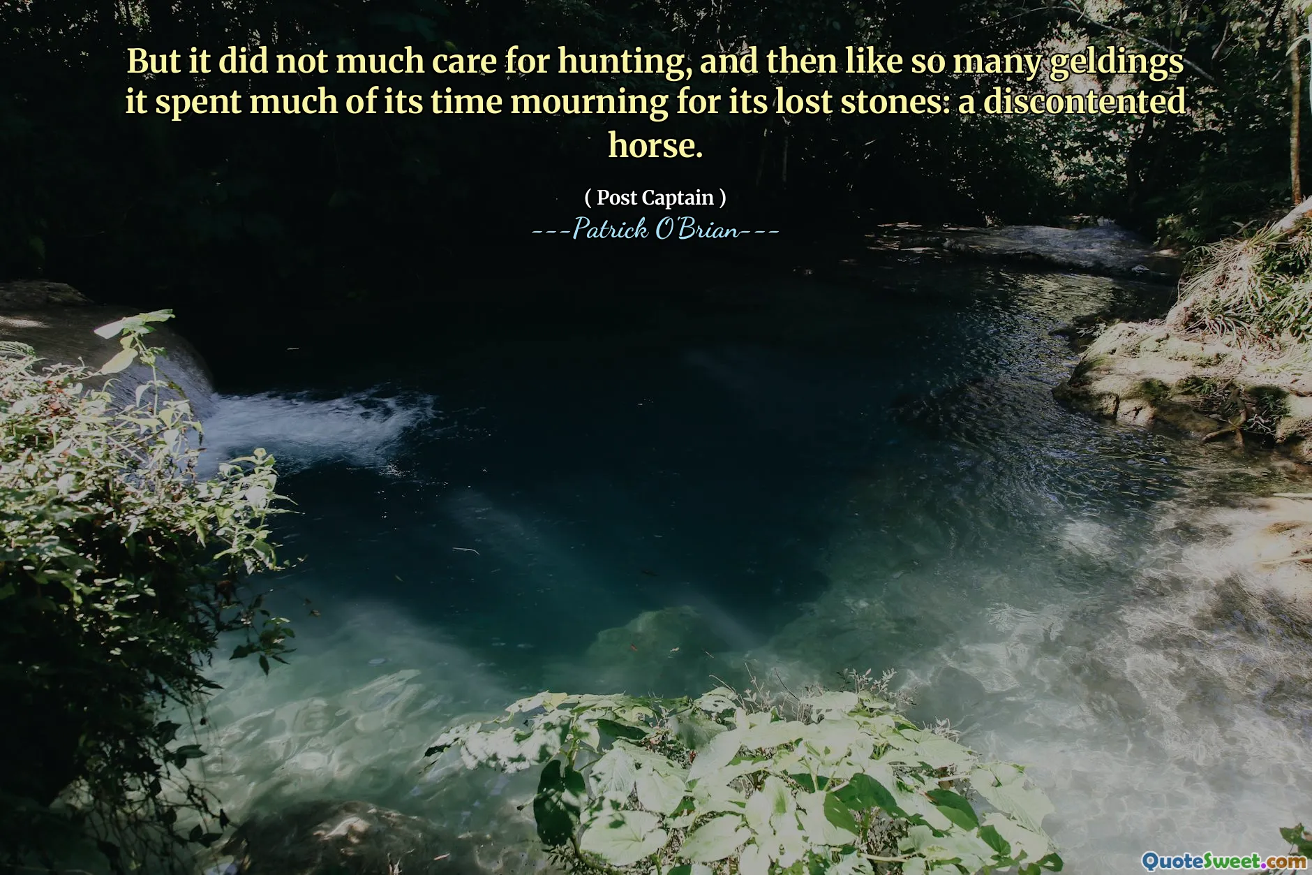 But it did not much care for hunting, and then like so many geldings it spent much of its time mourning for its lost stones: a discontented horse.