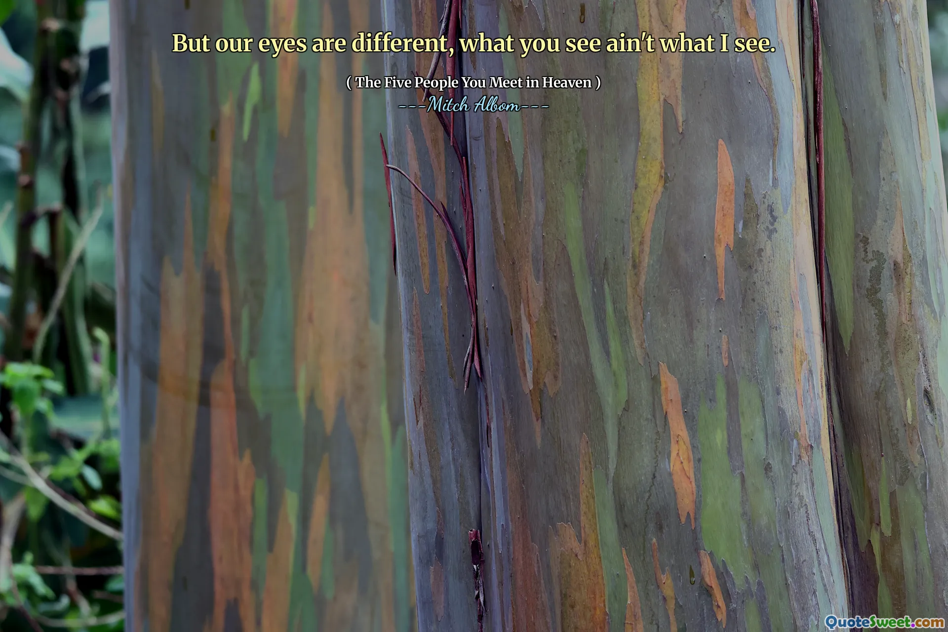 Ale naše oči jsou jiné, to, co vidíte, není to, co vidím.