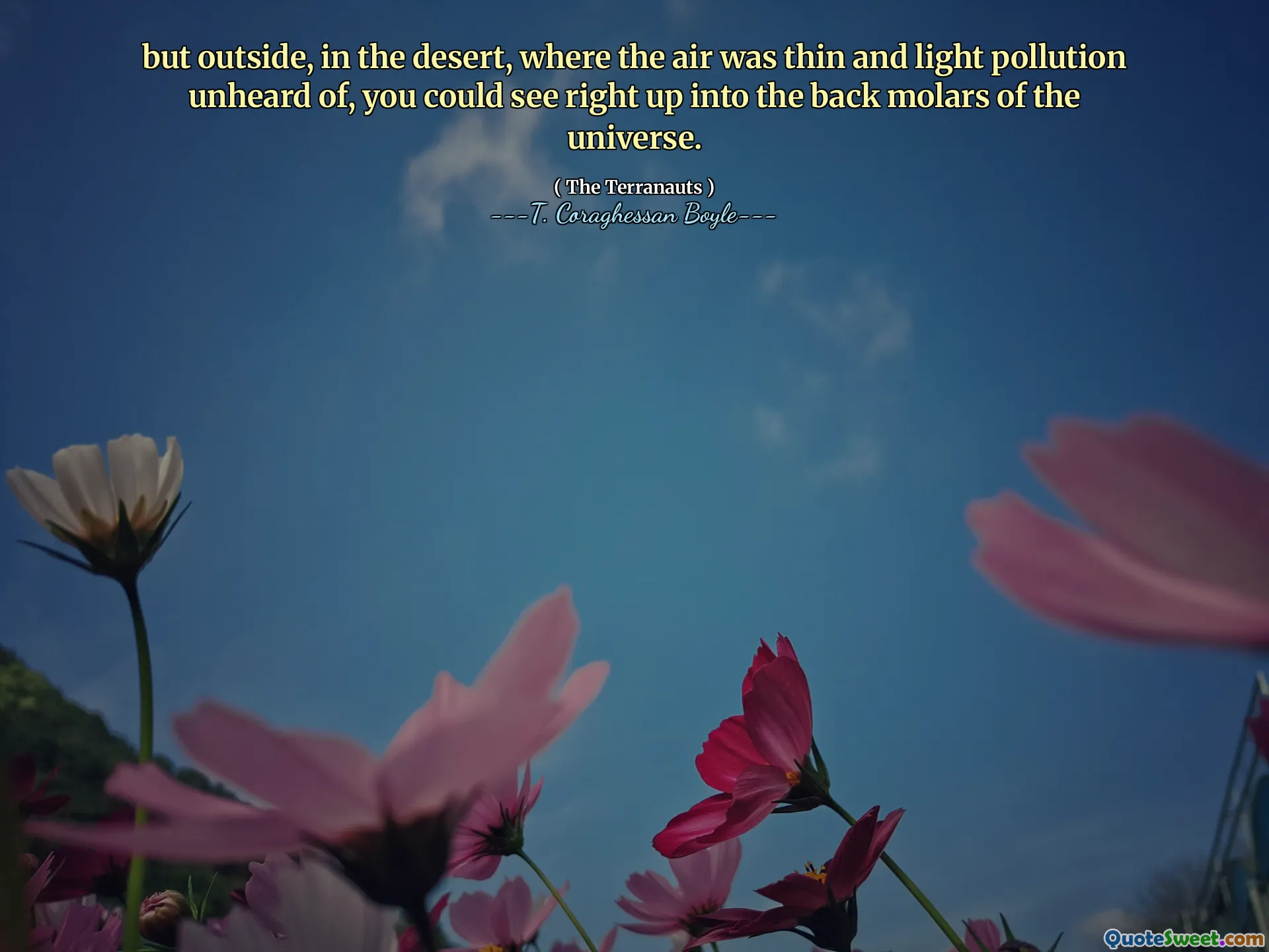 但是在外面，在沙漠中，空气稀薄而闻所未闻的光污染，您可以直接看到宇宙的后磨牙。