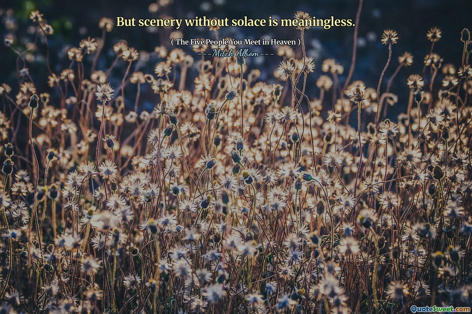 लेकिन बिना किसी सांकेतिक के दृश्य अर्थहीन है।