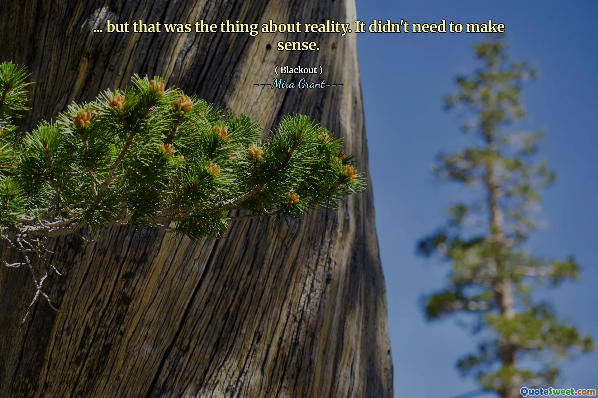 ... but that was the thing about reality. It didn't need to make sense.