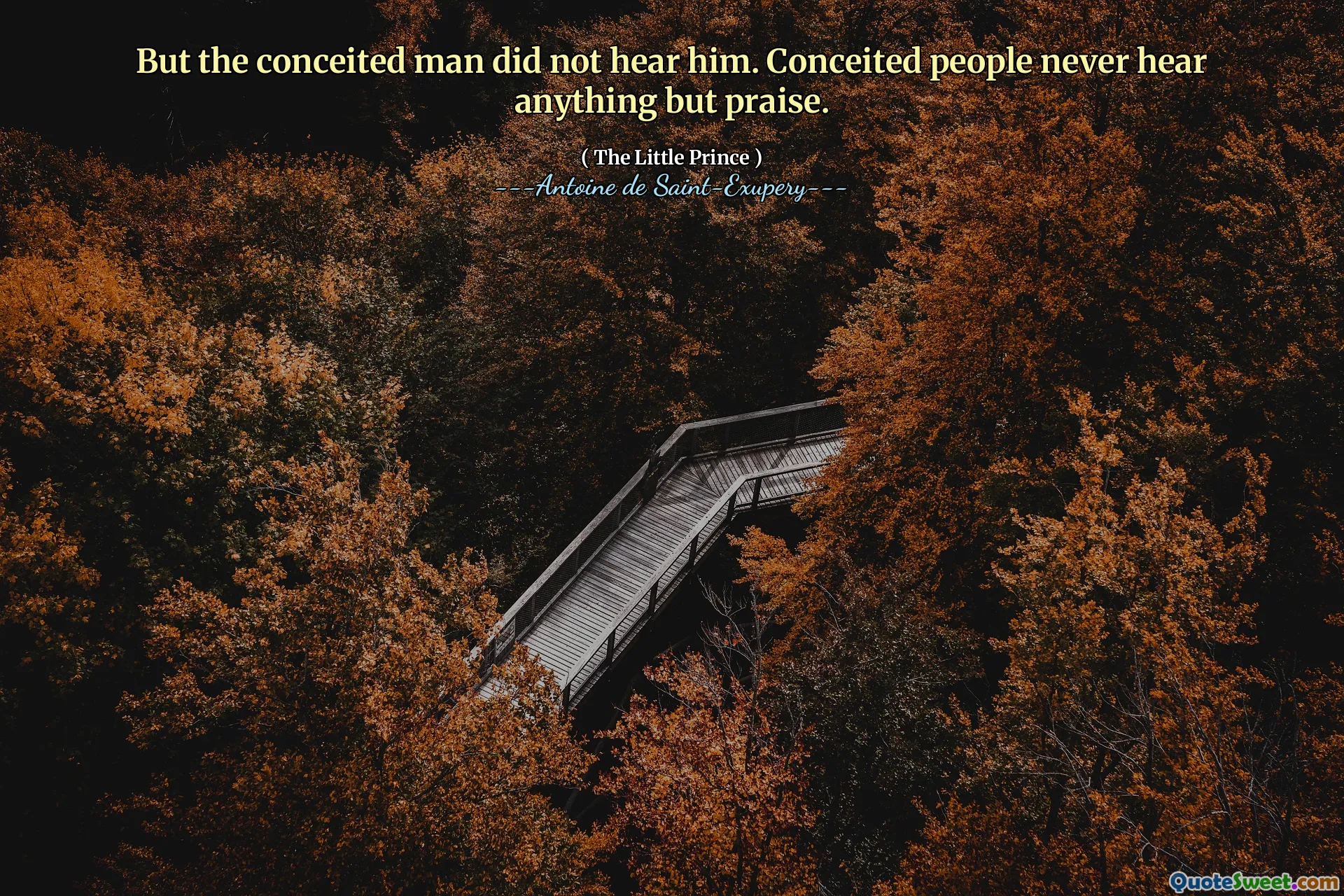 But the conceited man did not hear him. Conceited people never hear anything but praise.