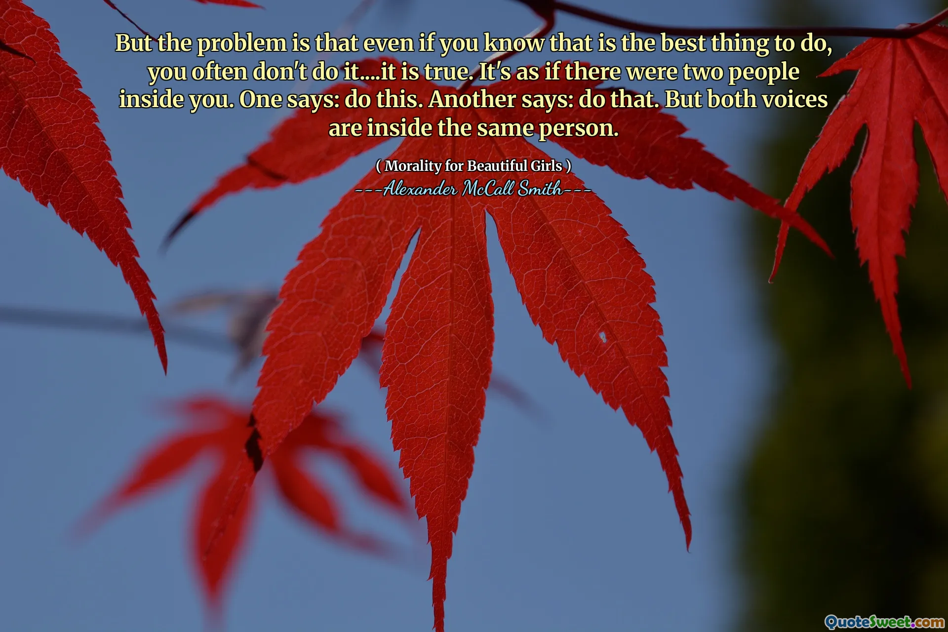 लेकिन समस्या यह है कि अगर आप जानते हैं कि यह सबसे अच्छी बात है, तो आप अक्सर ऐसा नहीं करते हैं .... यह सच है। यह ऐसा है जैसे आपके अंदर दो लोग थे। एक कहता है: यह करो। एक और कहता है: ऐसा करो। लेकिन दोनों आवाजें एक ही व्यक्ति के अंदर हैं।