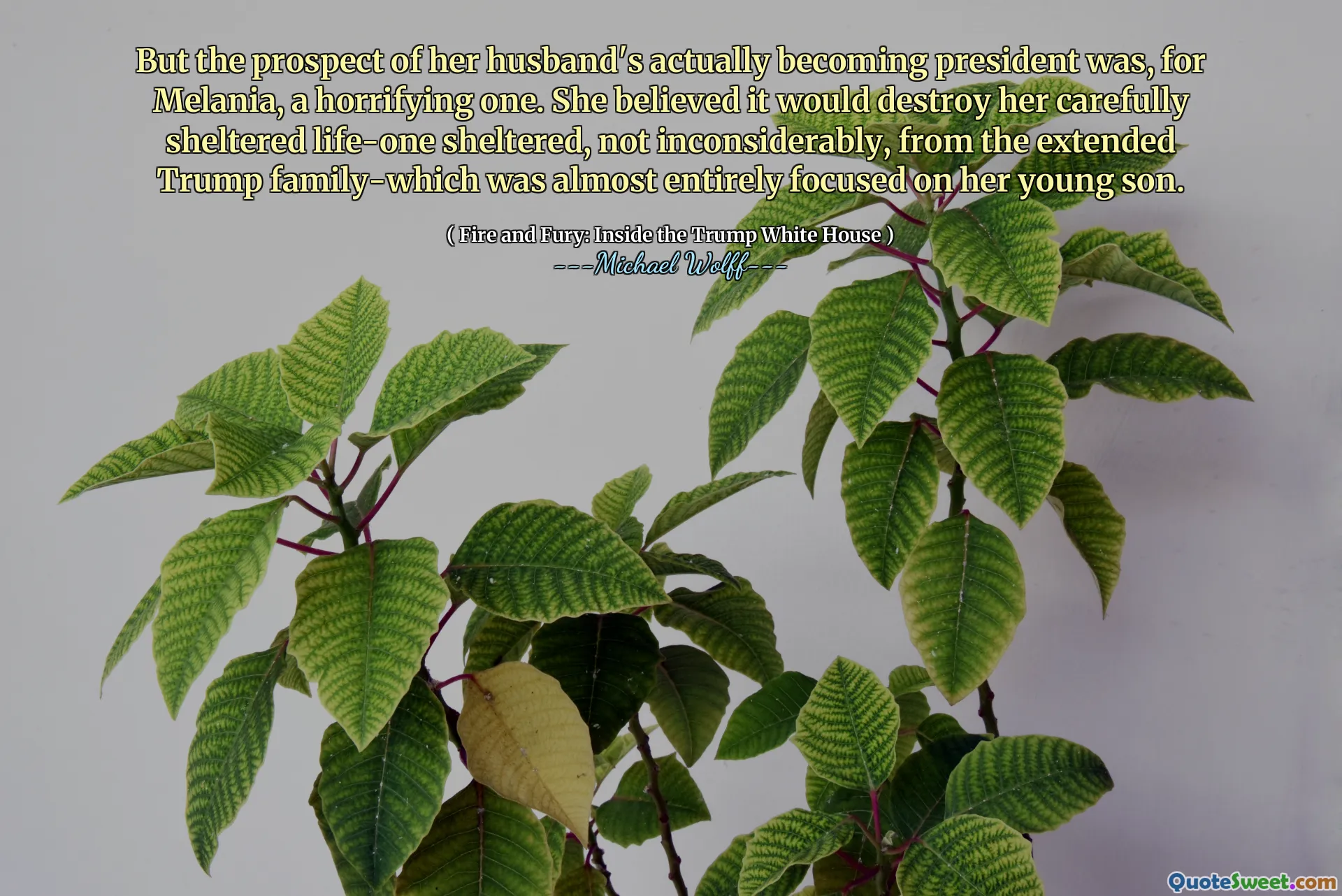 But the prospect of her husband's actually becoming president was, for Melania, a horrifying one. She believed it would destroy her carefully sheltered life-one sheltered, not inconsiderably, from the extended Trump family-which was almost entirely focused on her young son.