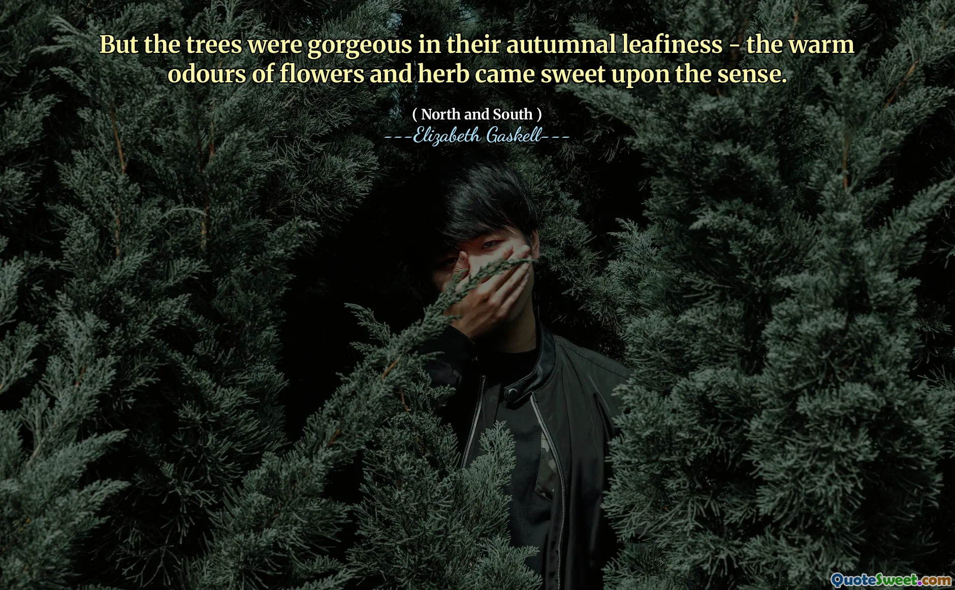 But the trees were gorgeous in their autumnal leafiness - the warm odours of flowers and herb came sweet upon the sense.