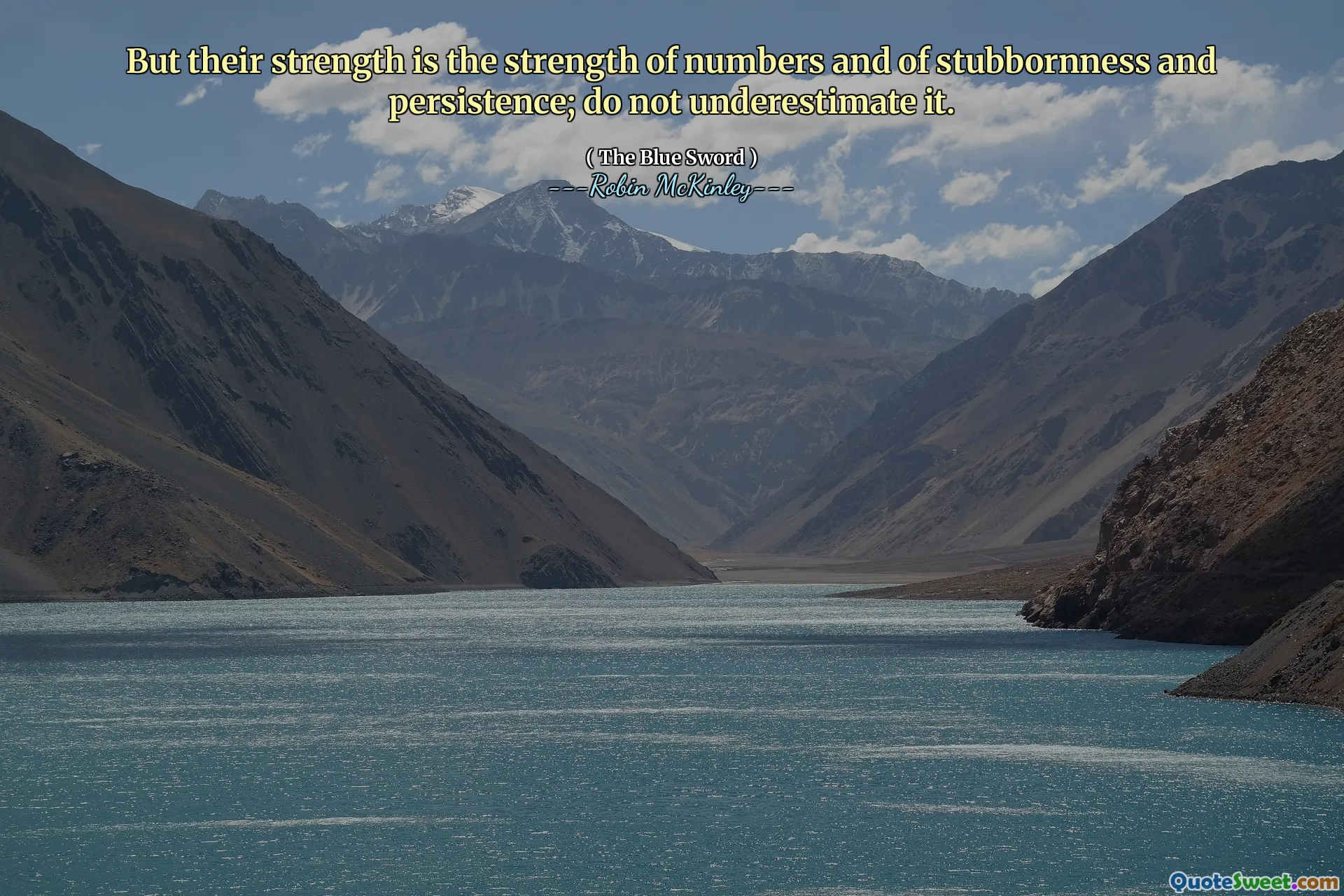 但他们的力量是数量的力量以及固执和坚持；不要低估它。