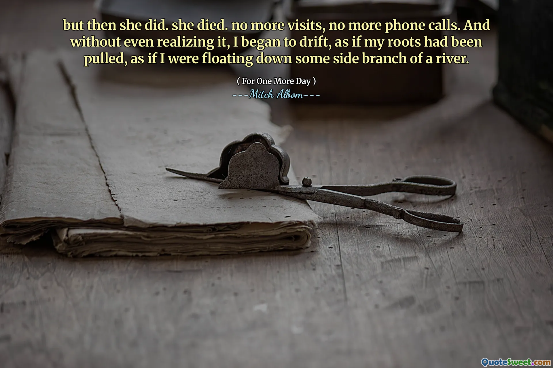 but then she did. she died. no more visits, no more phone calls. And without even realizing it, I began to drift, as if my roots had been pulled, as if I were floating down some side branch of a river.