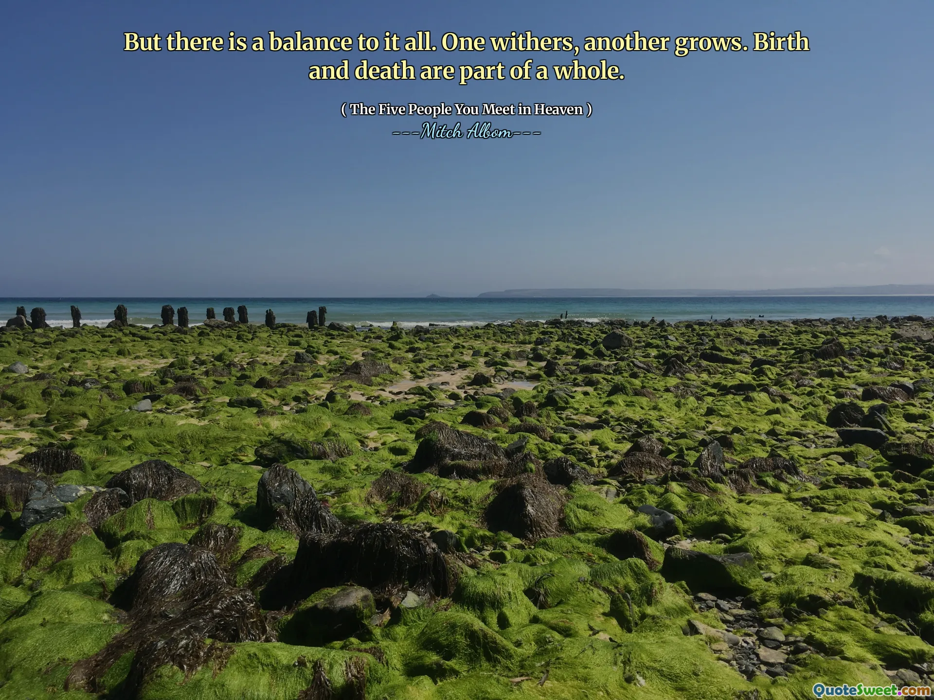 Maar er is een evenwicht aan alles. De ene verwelkt, de andere groeit. Geboorte en dood maken deel uit van een geheel.