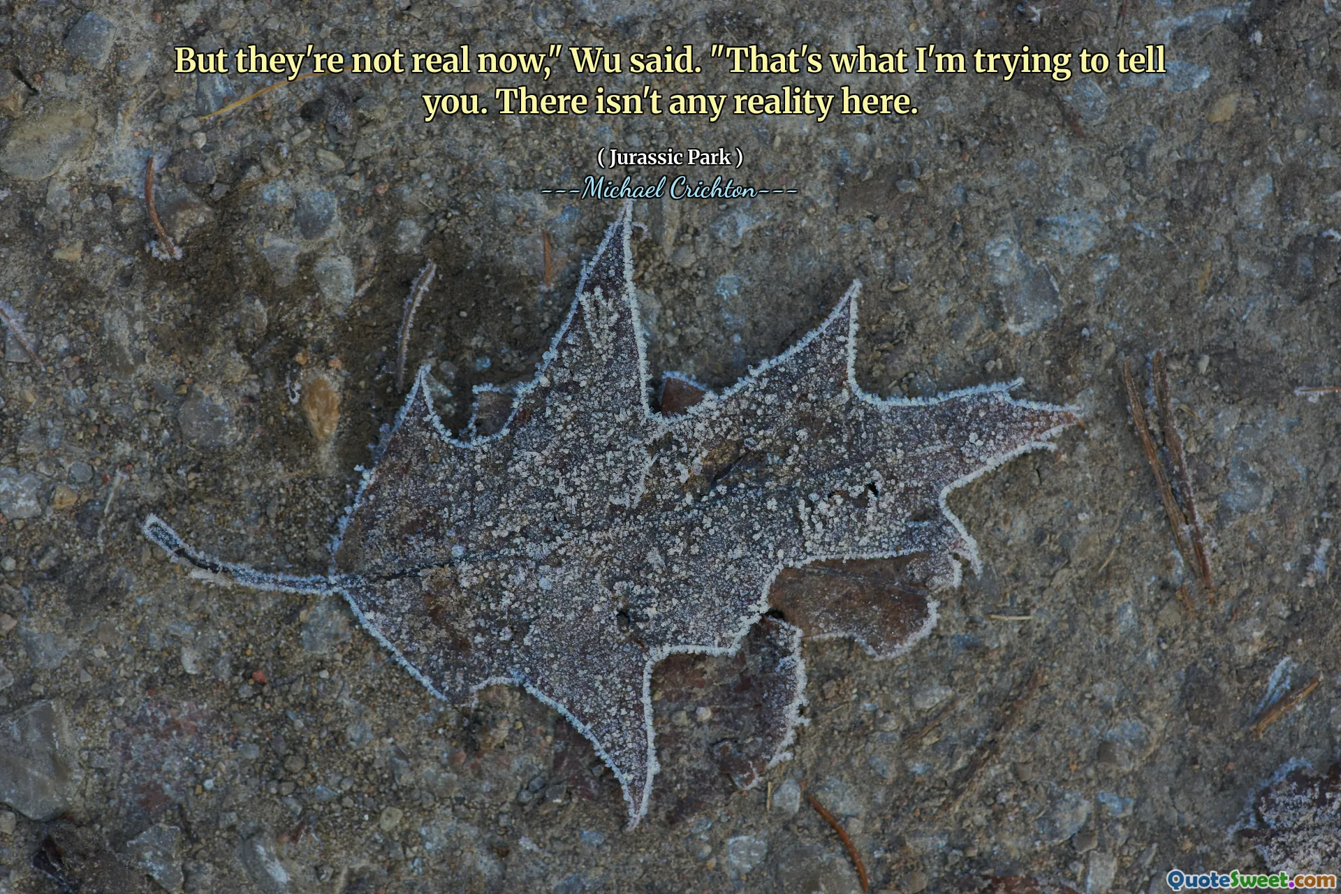 Aber jetzt sind sie jetzt nicht real ", sagte Wu." Das versuche ich Ihnen zu sagen. Hier gibt es keine Realität.