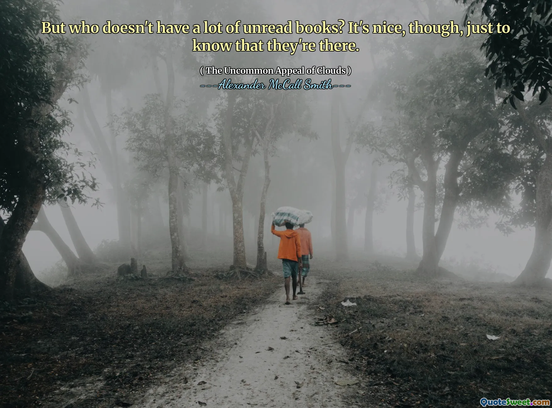 Но у кого не так много непрочитанных книг? Это приятно, просто чтобы знать, что они там.