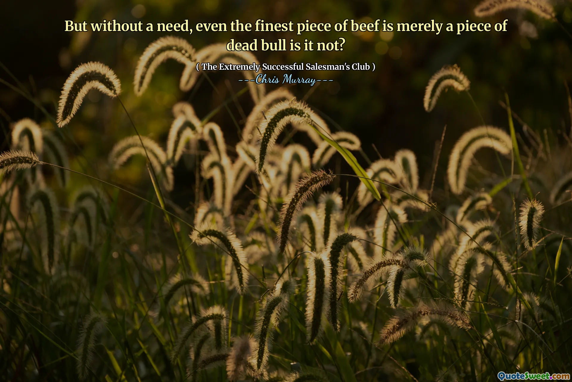 Ama ihtiyaç duymadan, en iyi sığır eti bile sadece ölü bir boğa parçası değil mi?