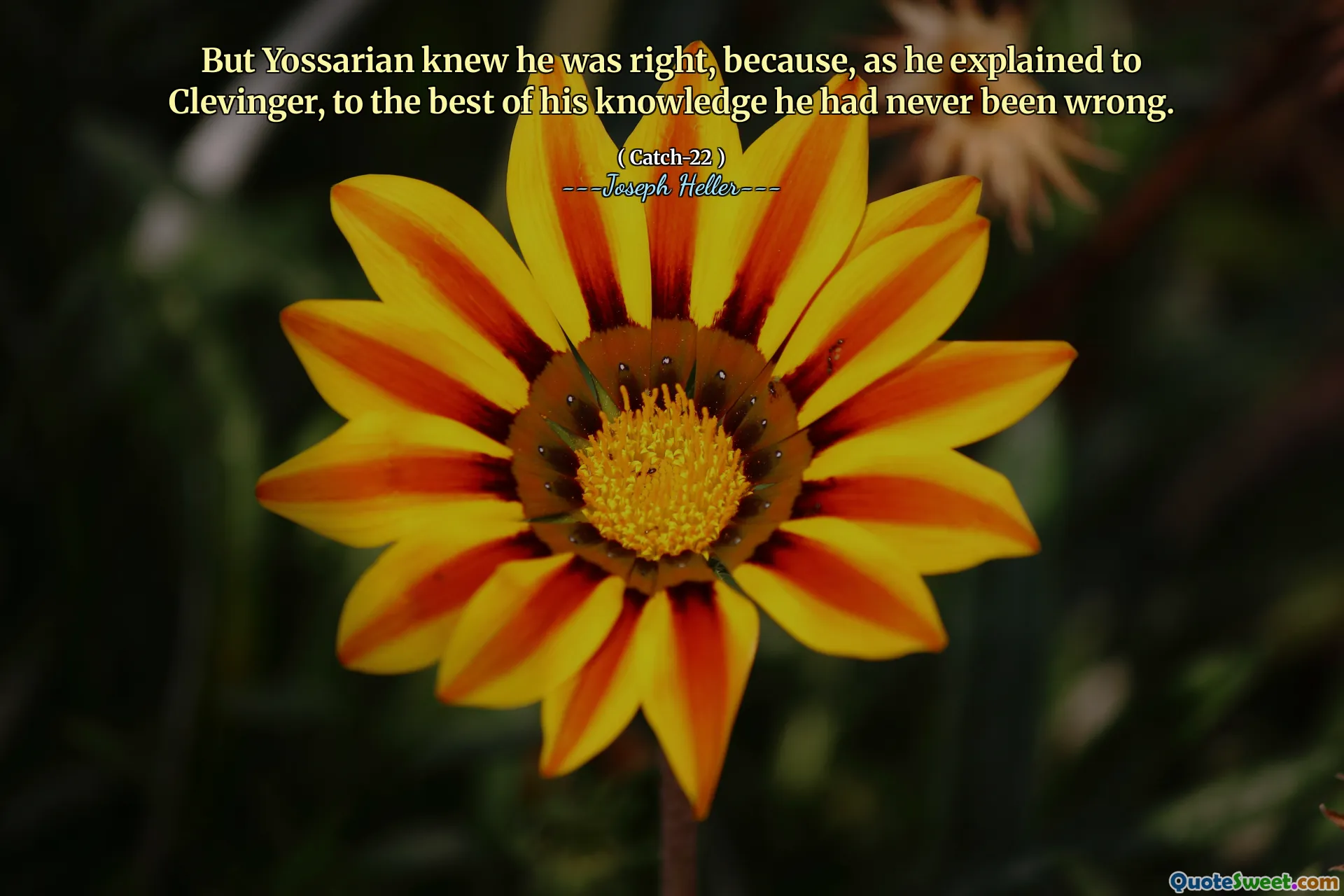 Men Yossarian visste at han hadde rett, fordi han, som han forklarte Clevinger, etter beste kunnskap om at han aldri hadde tatt feil.