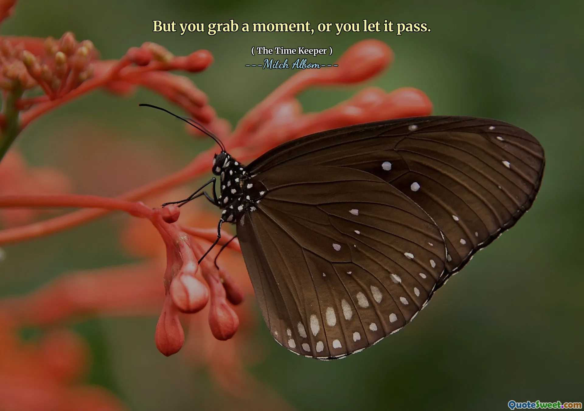 Tapi Anda mengambil waktu sejenak, atau membiarkannya berlalu.