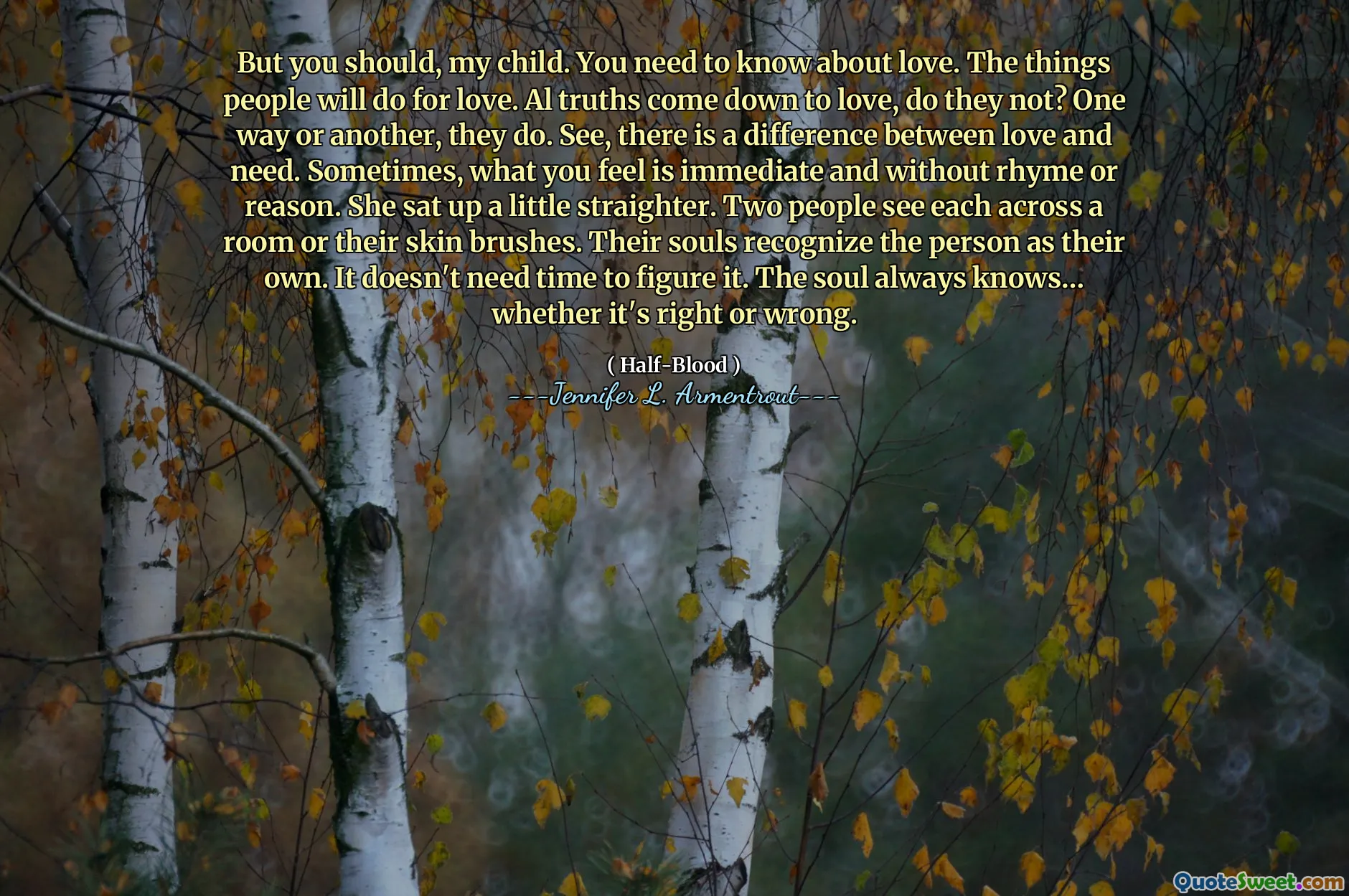 But you should, my child. You need to know about love. The things people will do for love. Al truths come down to love, do they not? One way or another, they do. See, there is a difference between love and need. Sometimes, what you feel is immediate and without rhyme or reason. She sat up a little straighter. Two people see each across a room or their skin brushes. Their souls recognize the person as their own. It doesn't need time to figure it. The soul always knows… whether it's right or wrong.