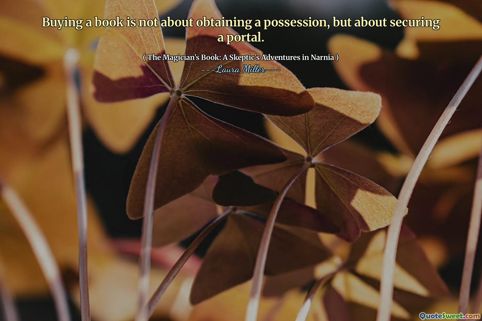 Buying a book is not about obtaining a possession, but about securing a portal.